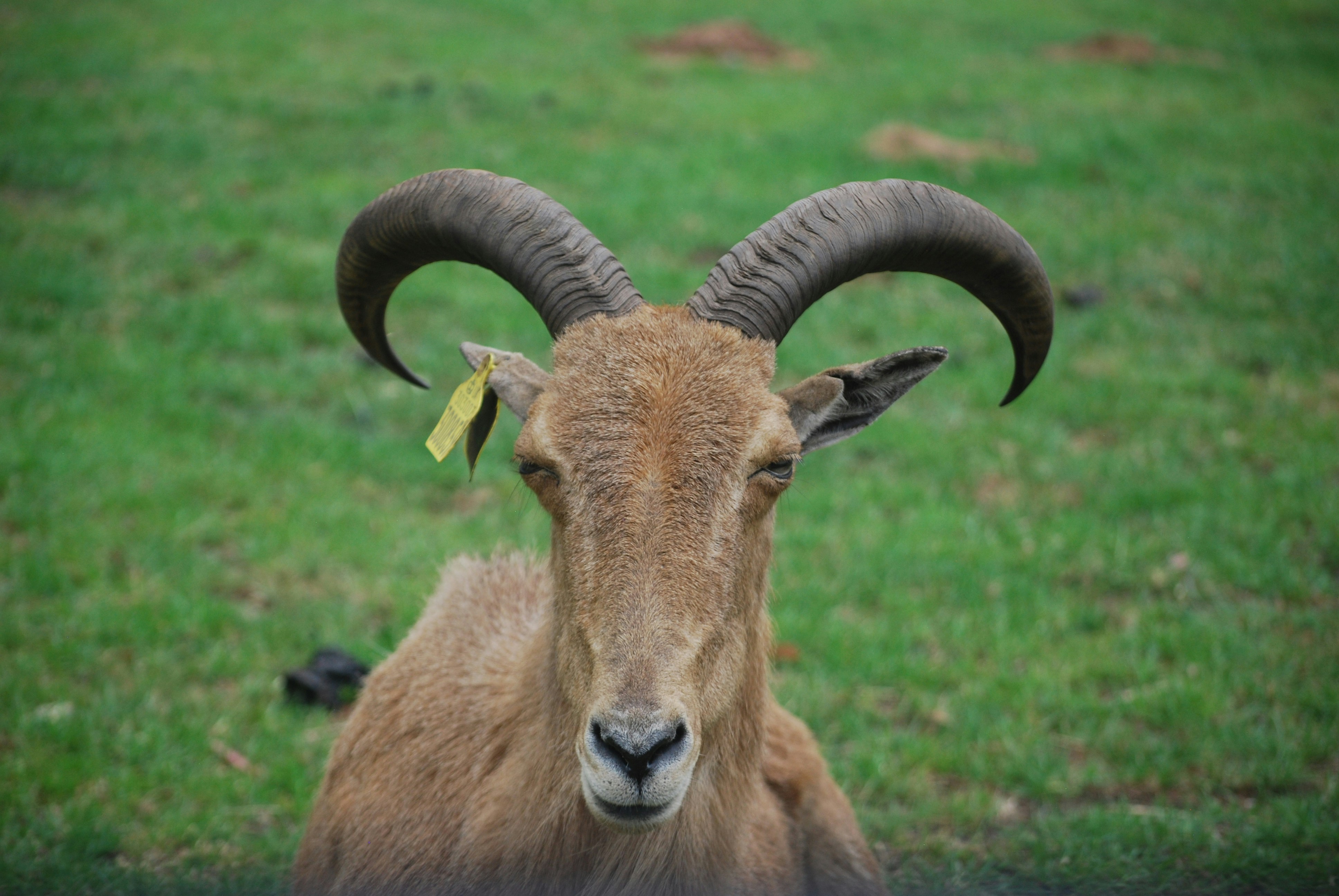 Photo by hazer677744