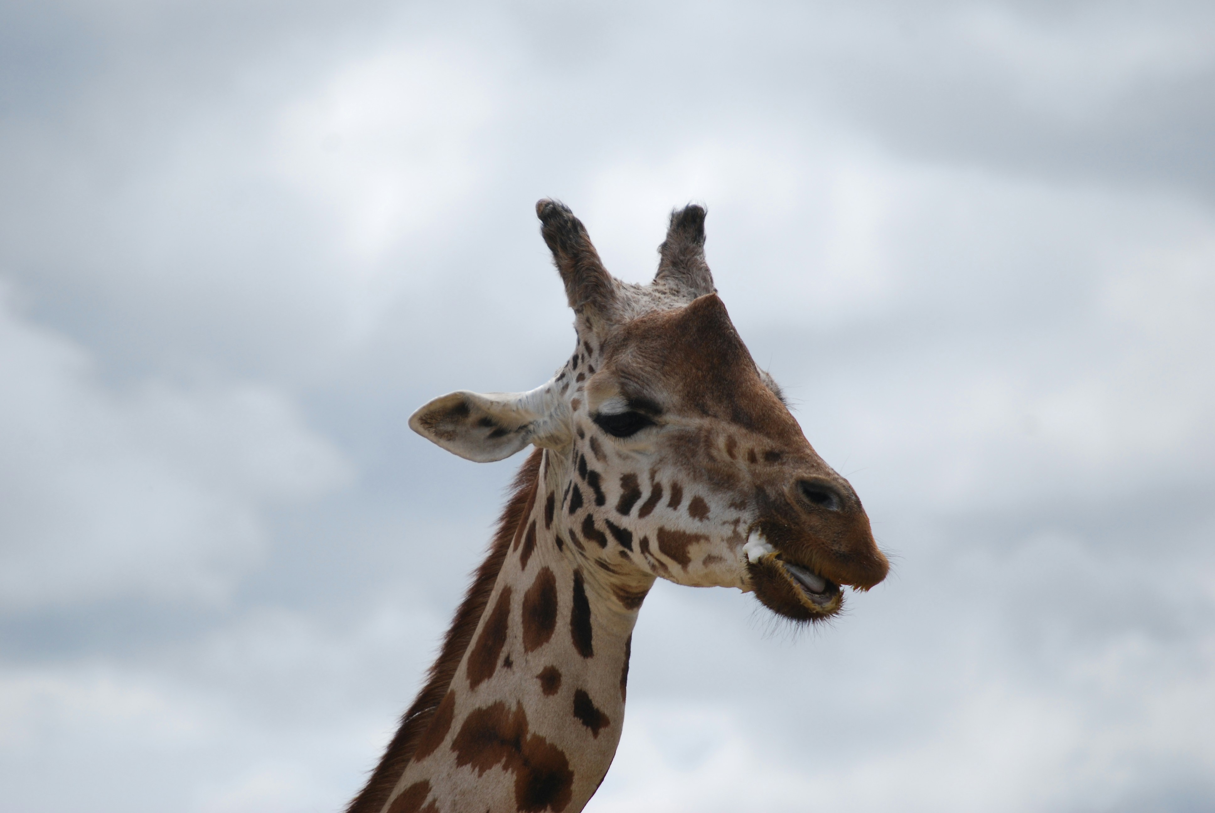 Photo by hazer677744