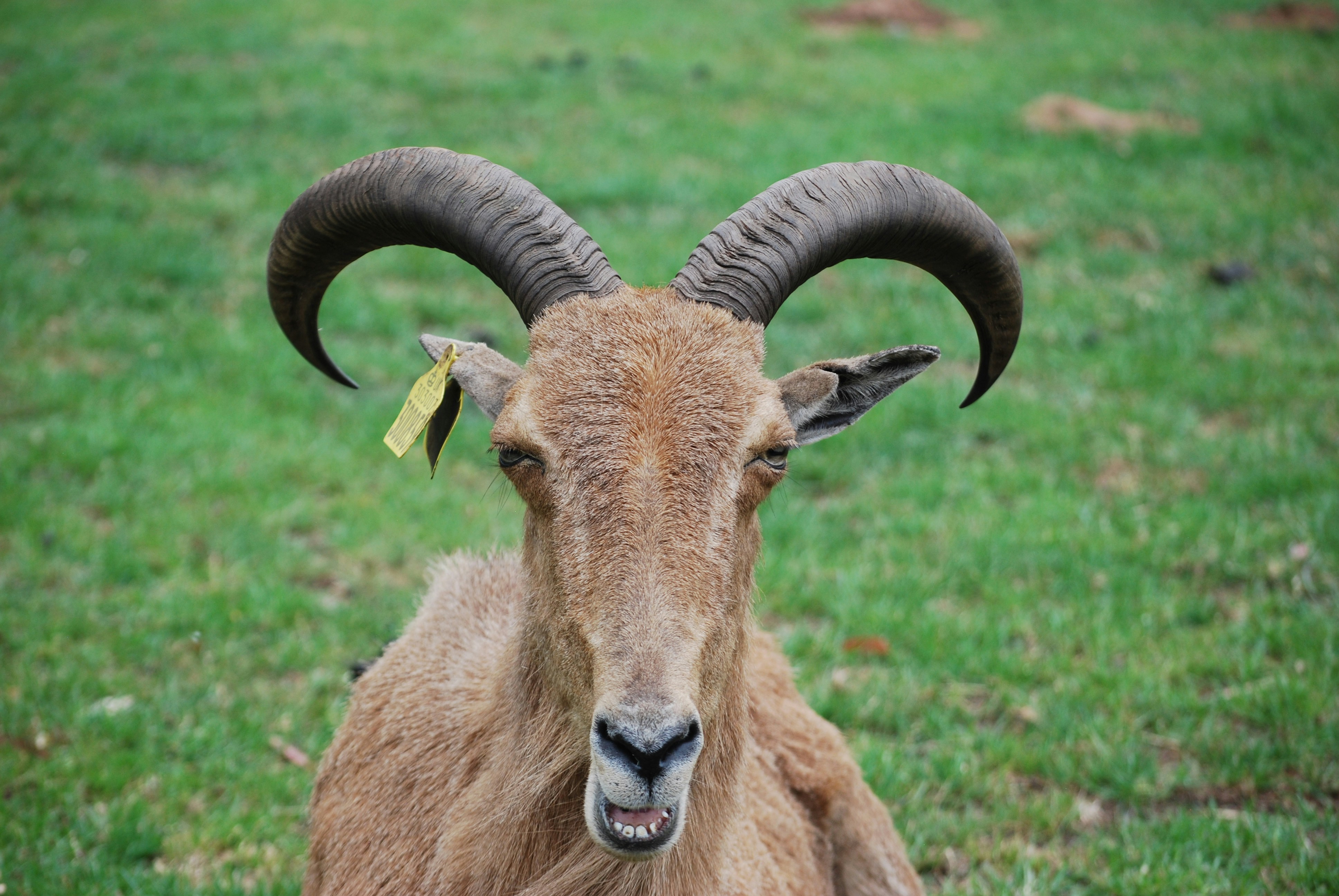 Photo by hazer677744