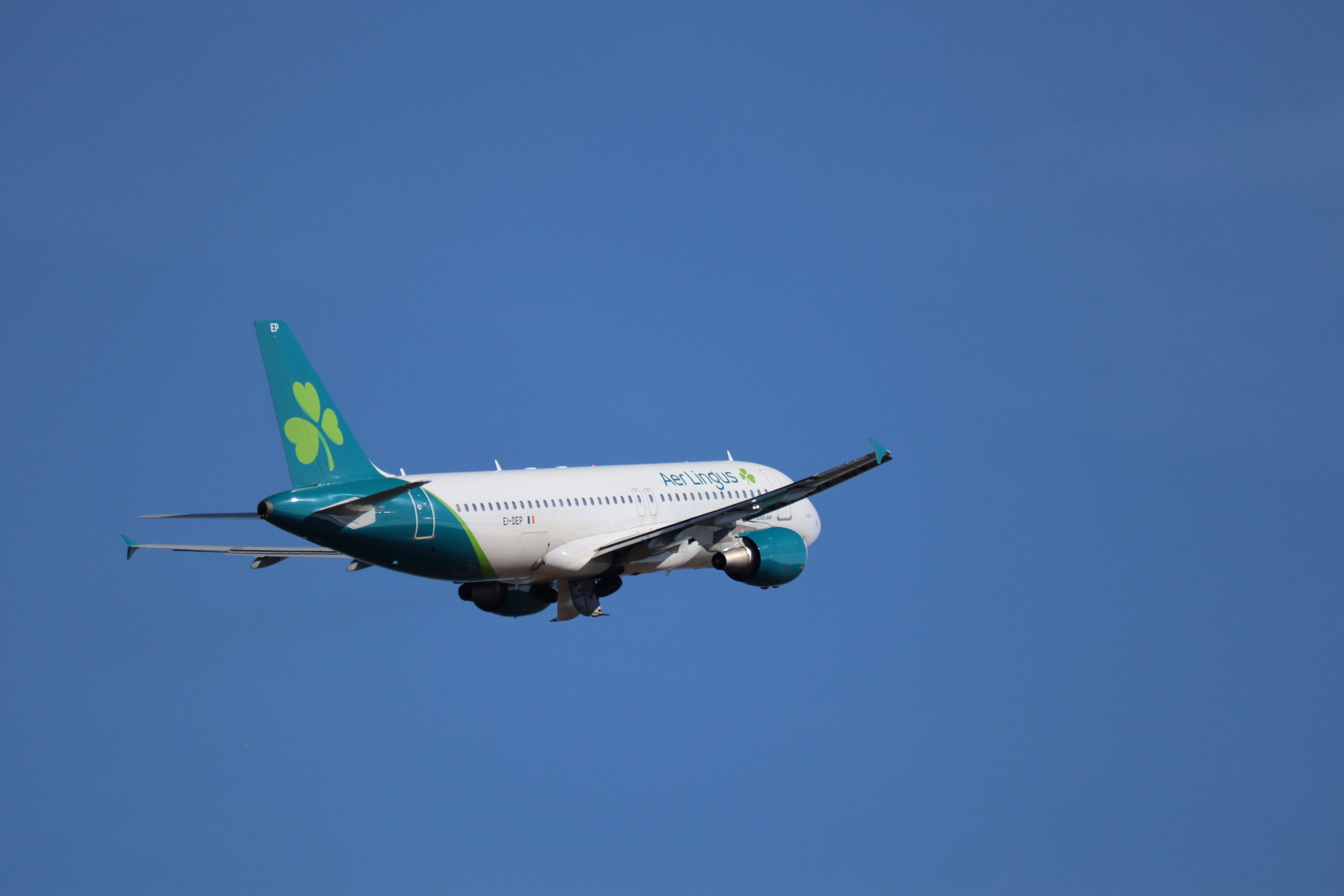 An aer lingus airplane flying in a clear blue sky