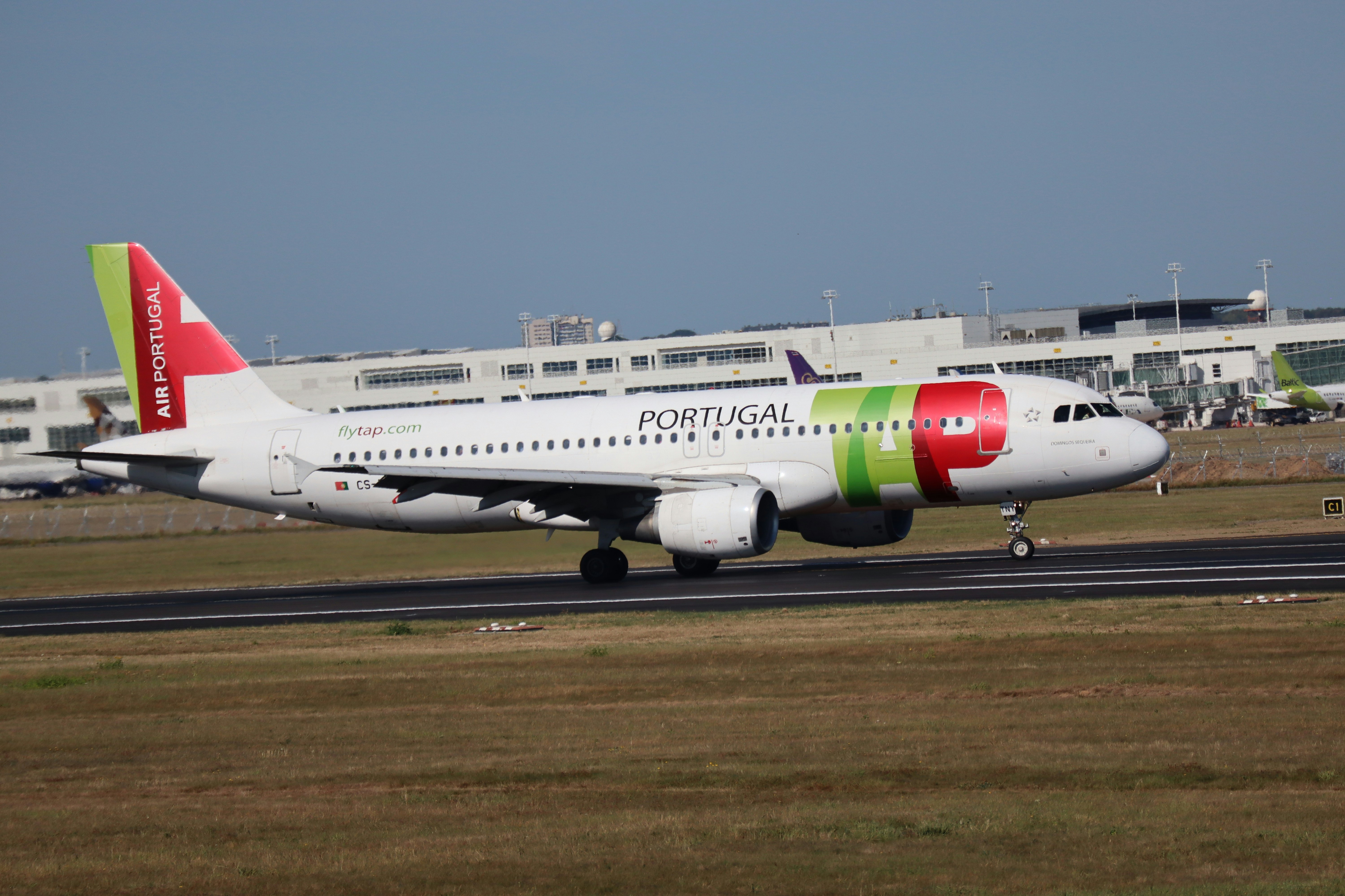 TAP Air Portugal and Cats: Cabin Rules, the Gatwick Restriction, and What the Return Leg Actually Means