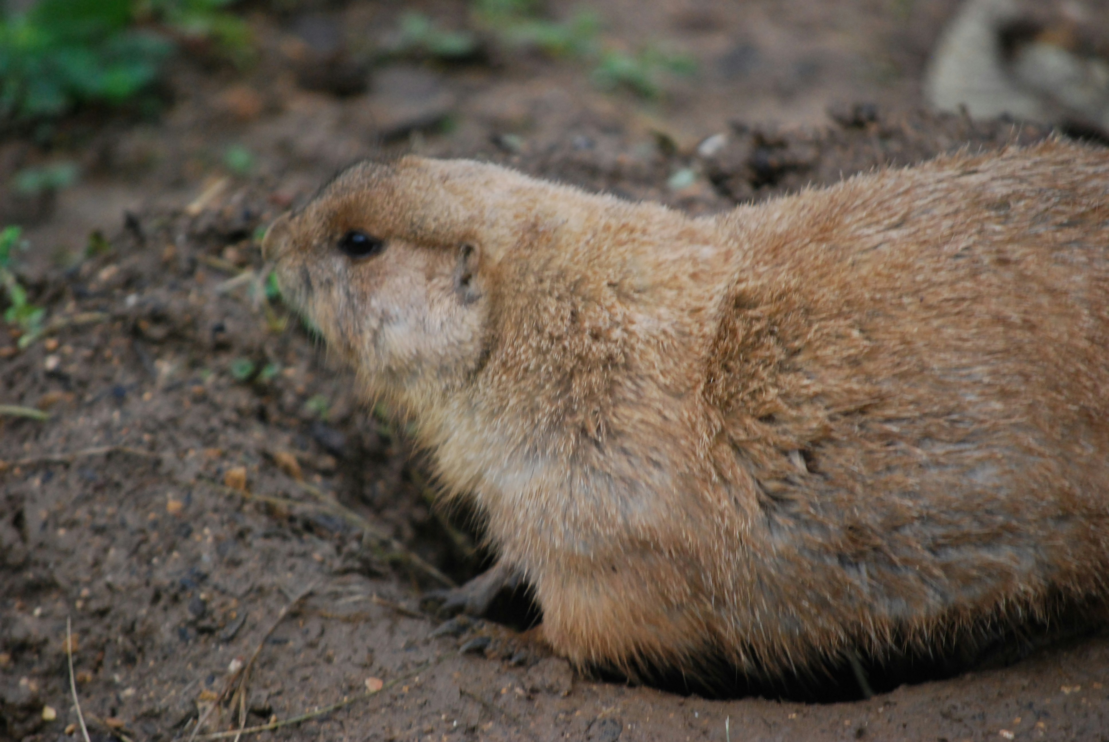 Photo by hazer677744