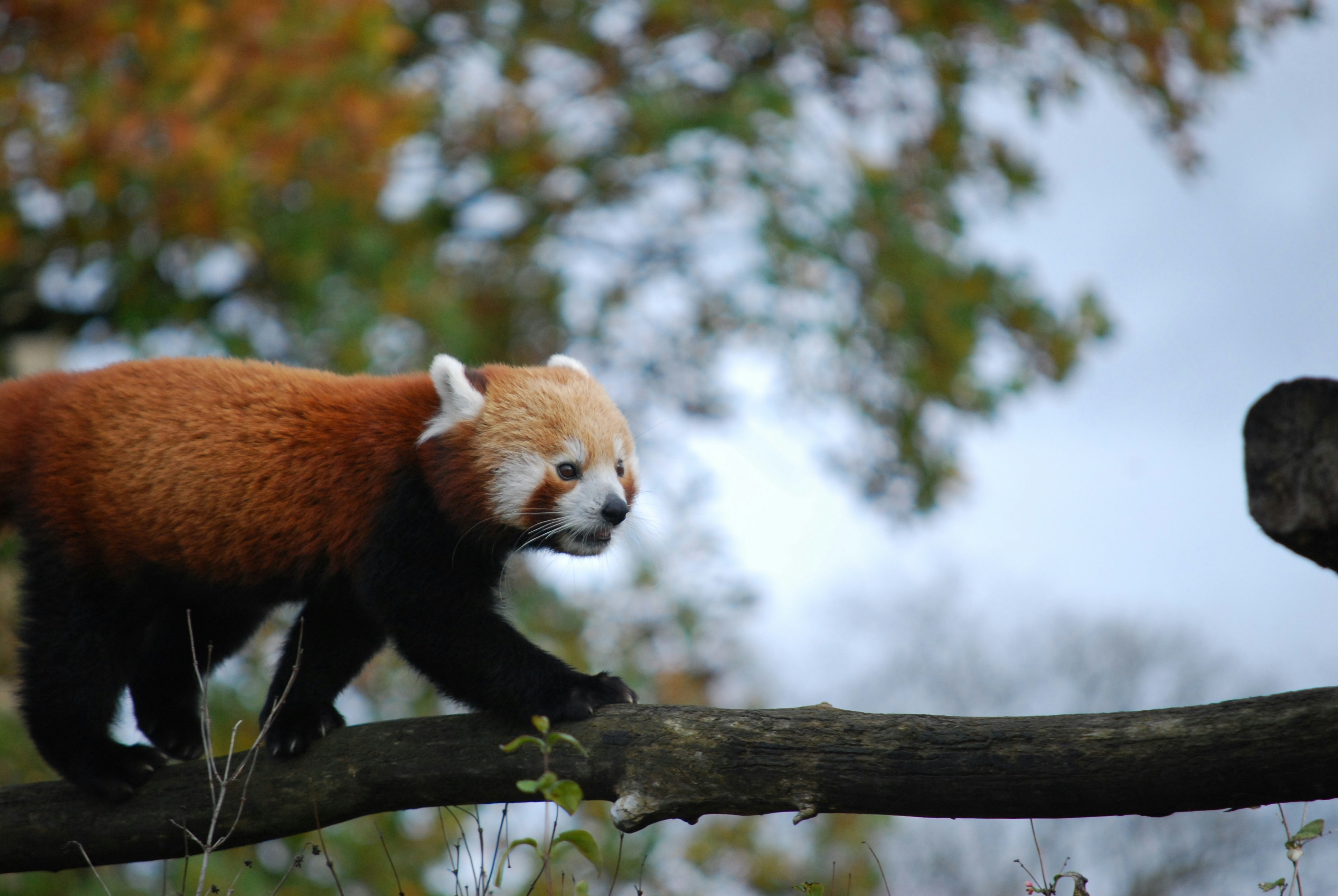 Photo by hazer677744