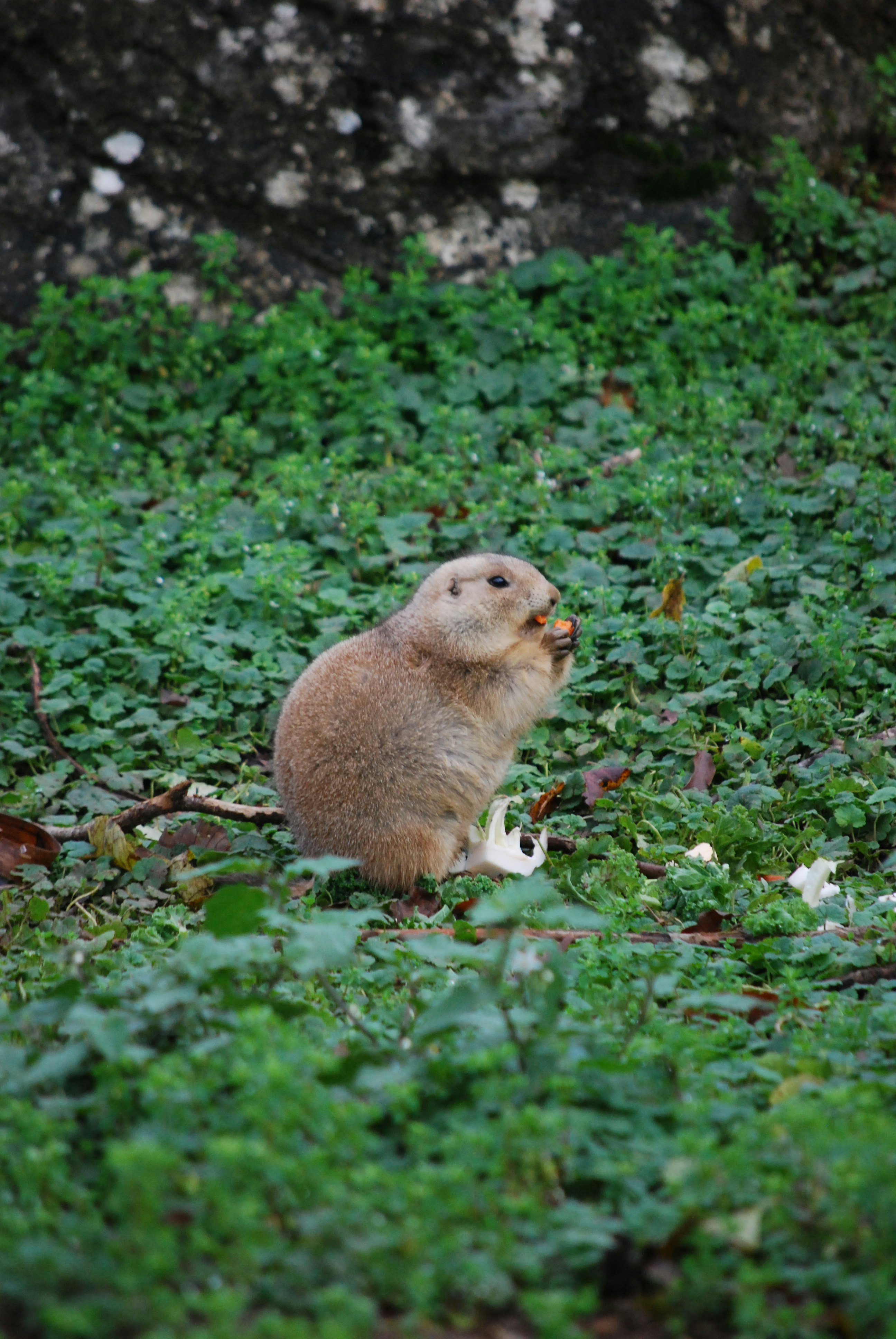 Photo by hazer677744