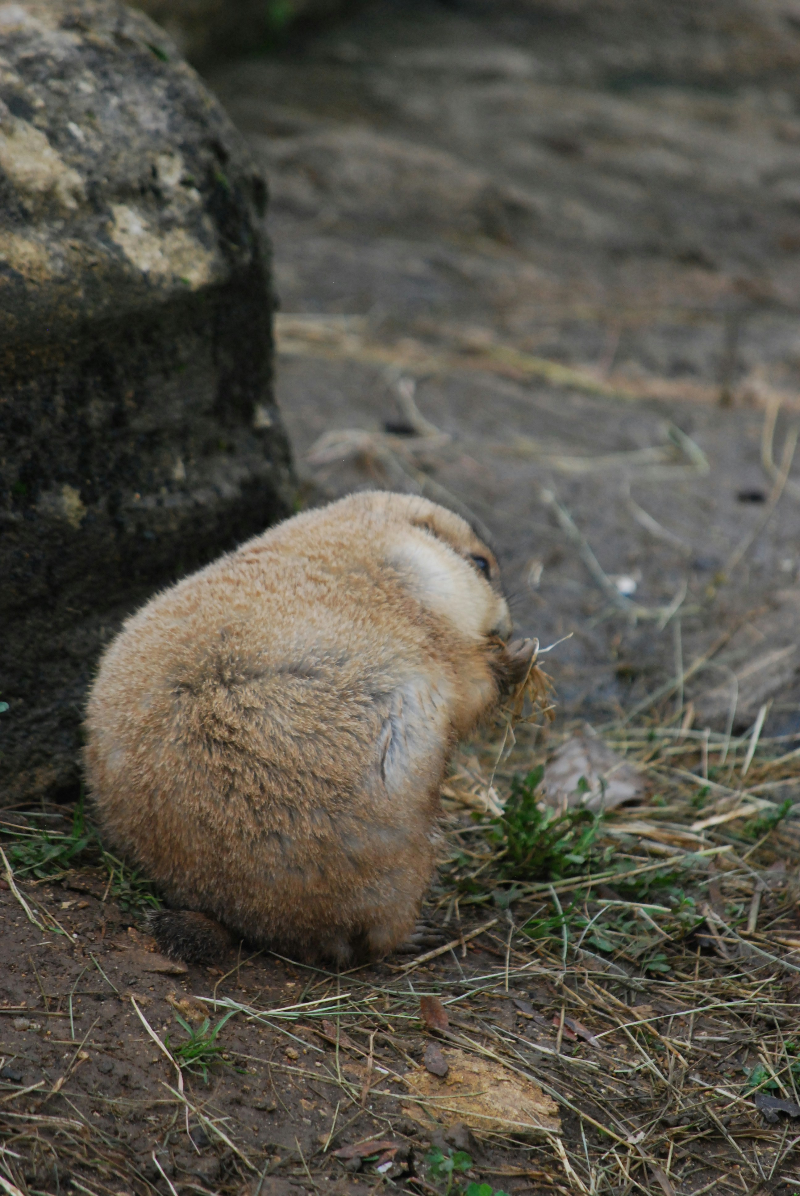 Photo by hazer677744