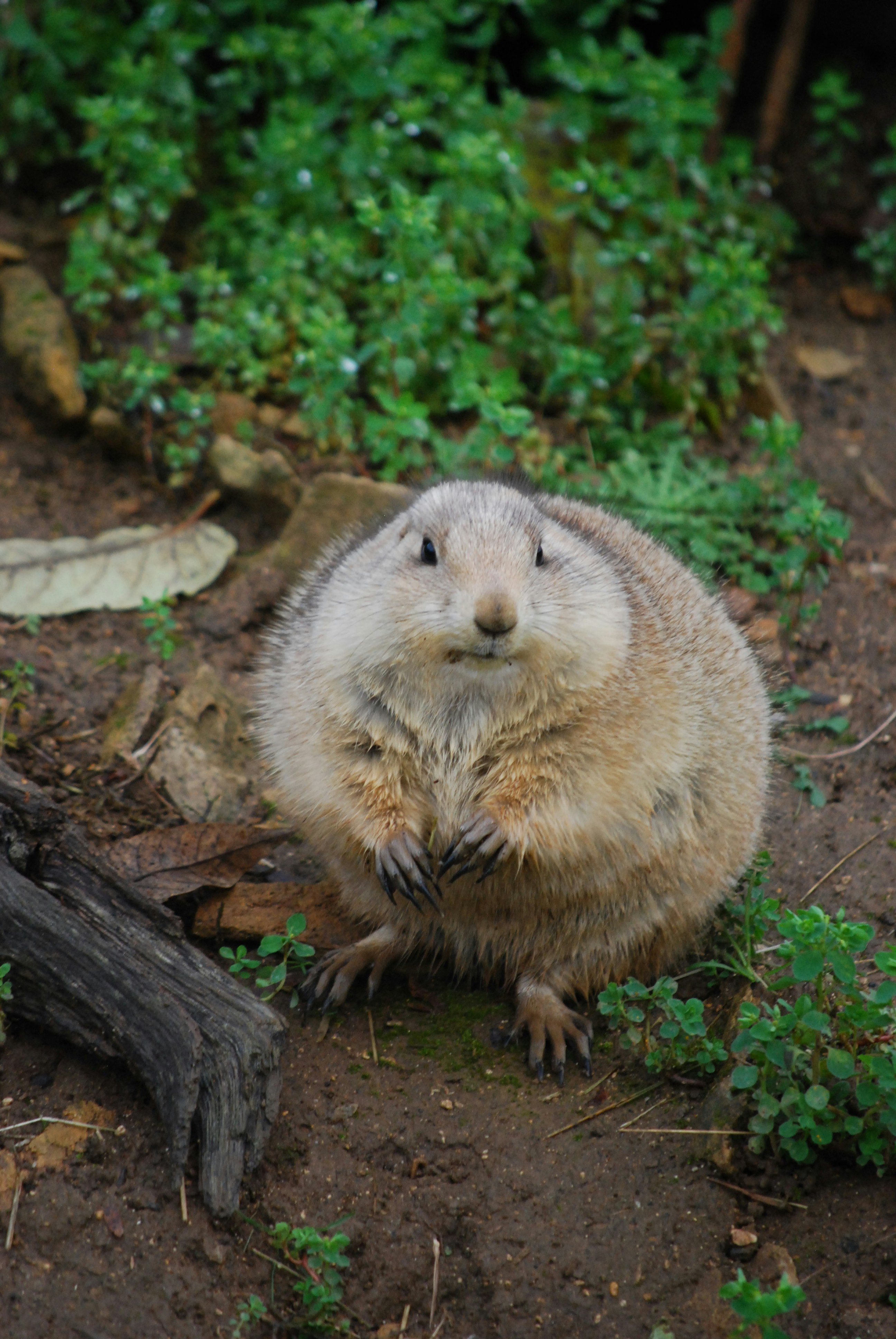 Photo by hazer677744