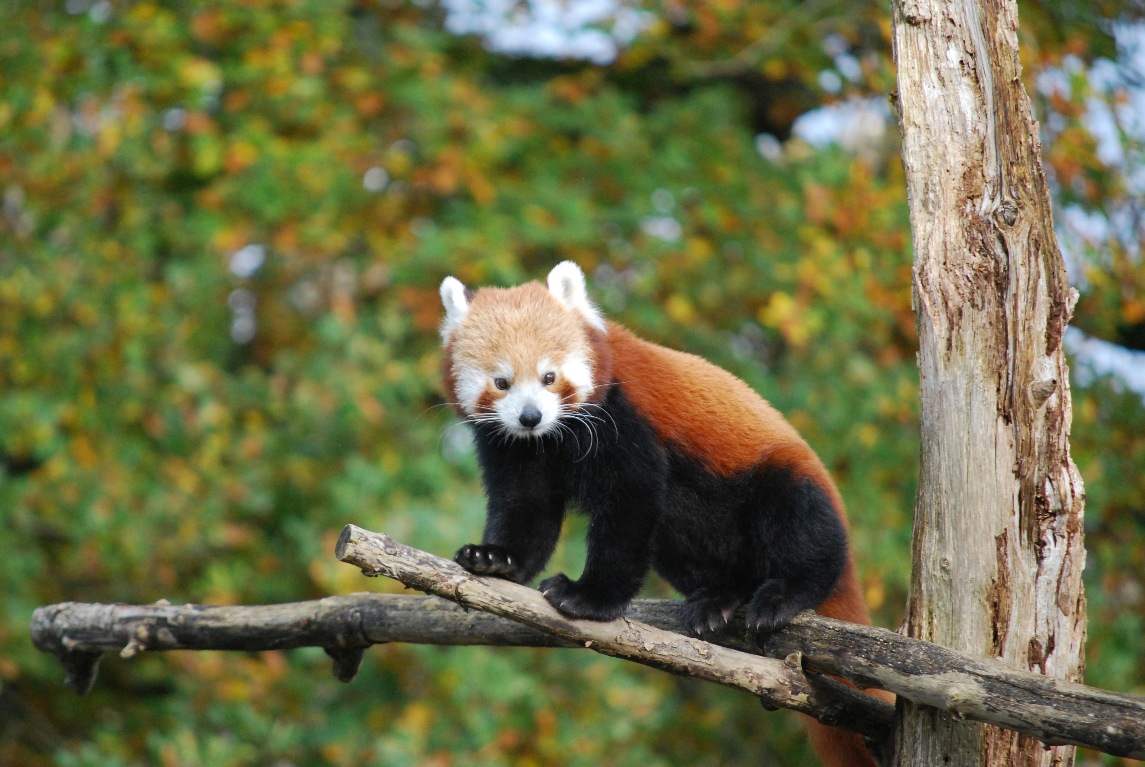 Photo by hazer677744