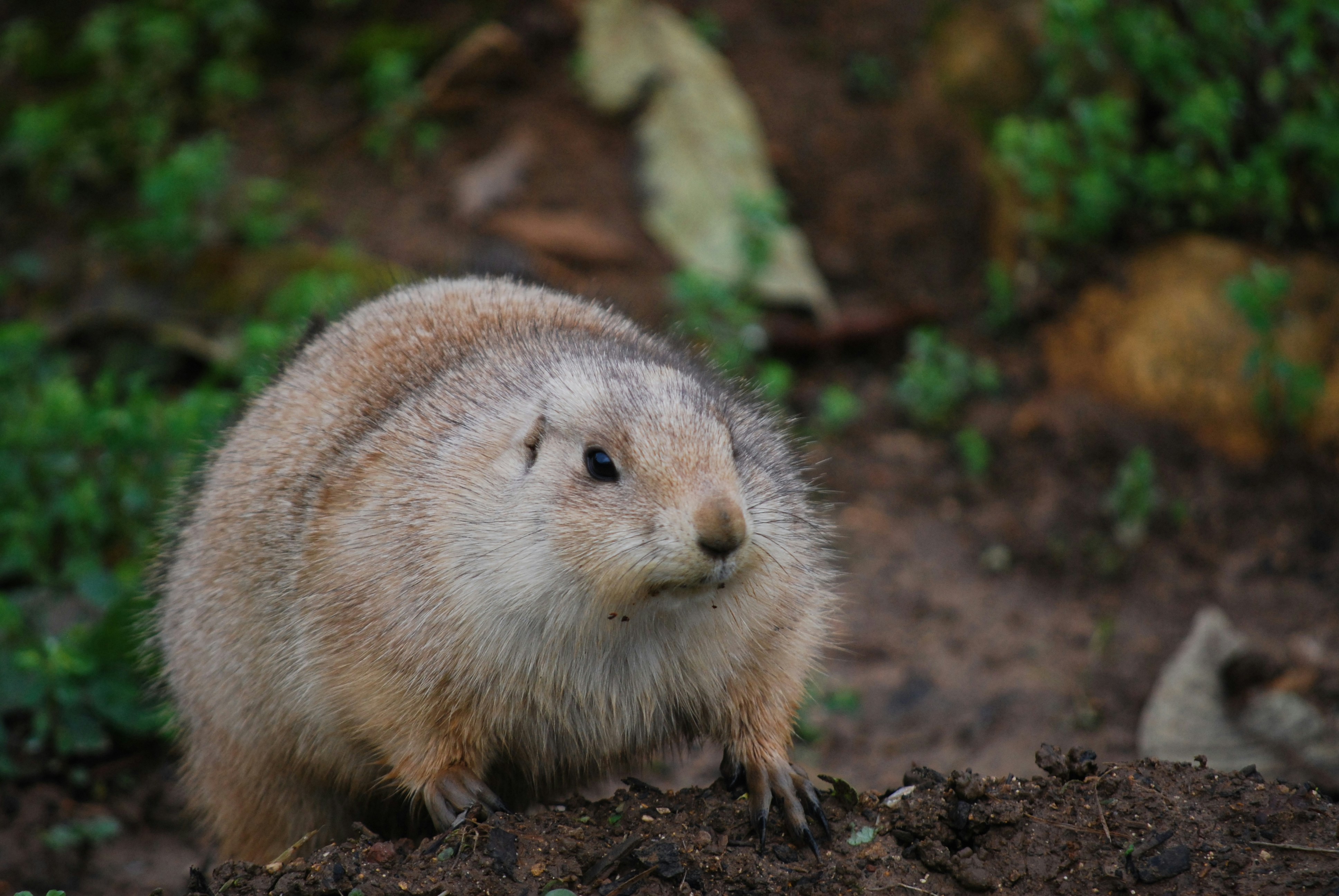 Photo by hazer677744