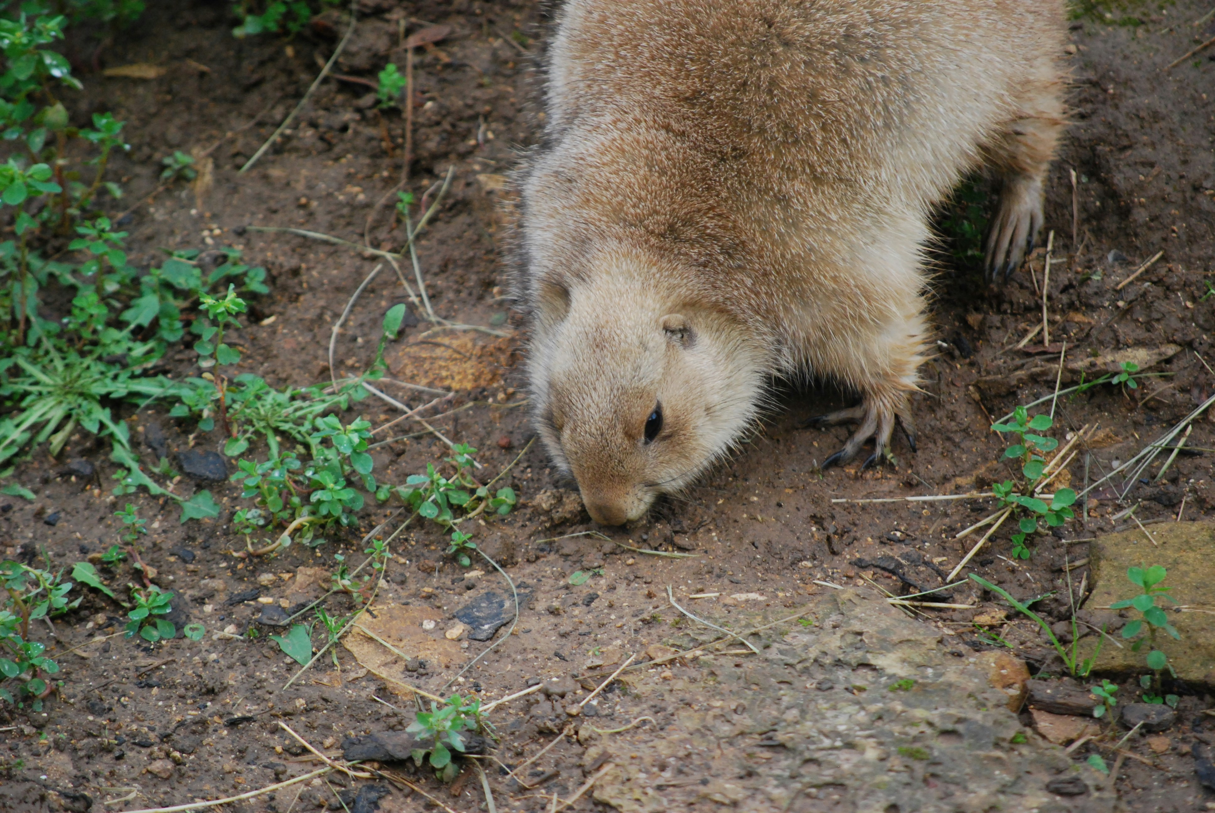 Photo by hazer677744