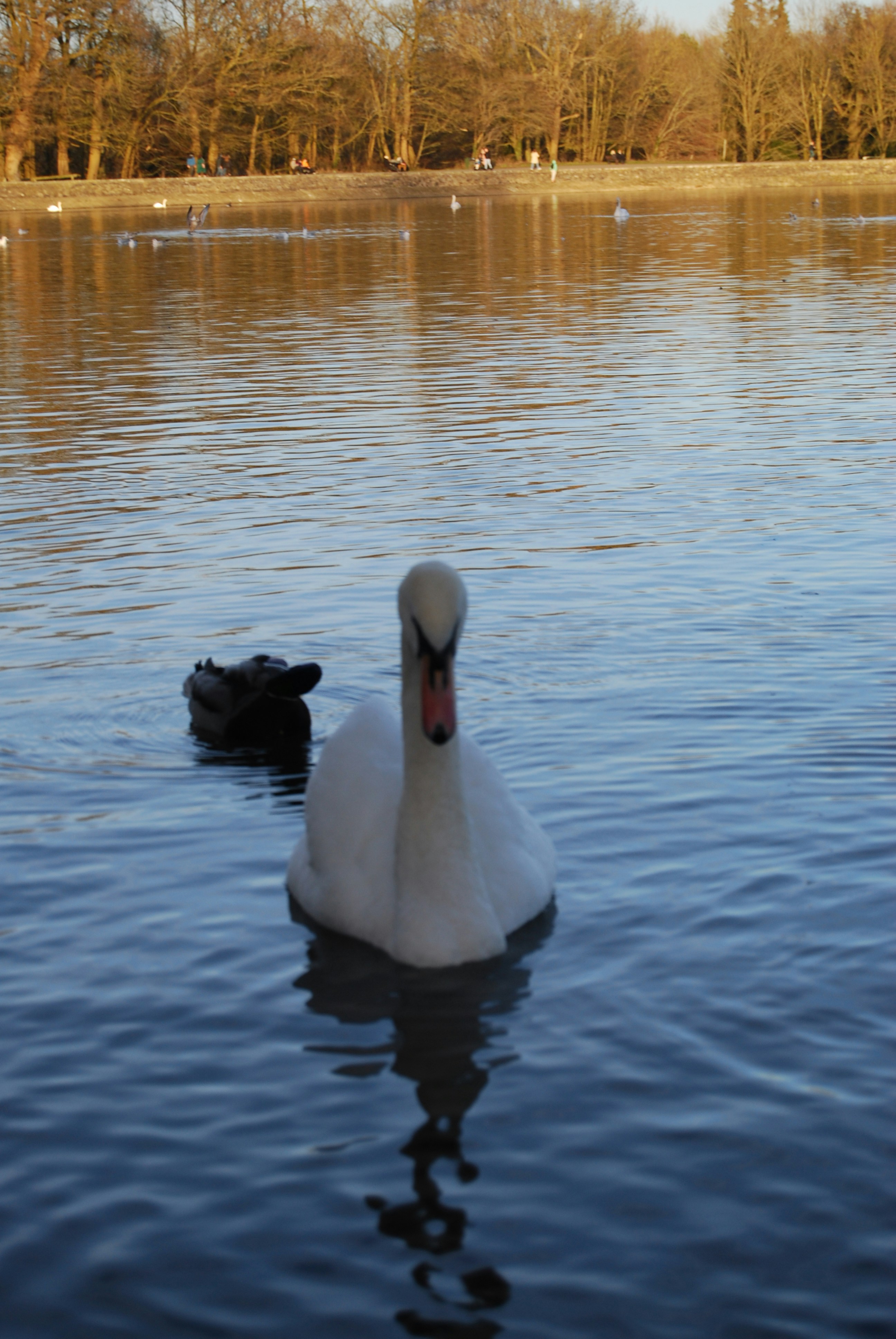 Photo by hazer677744