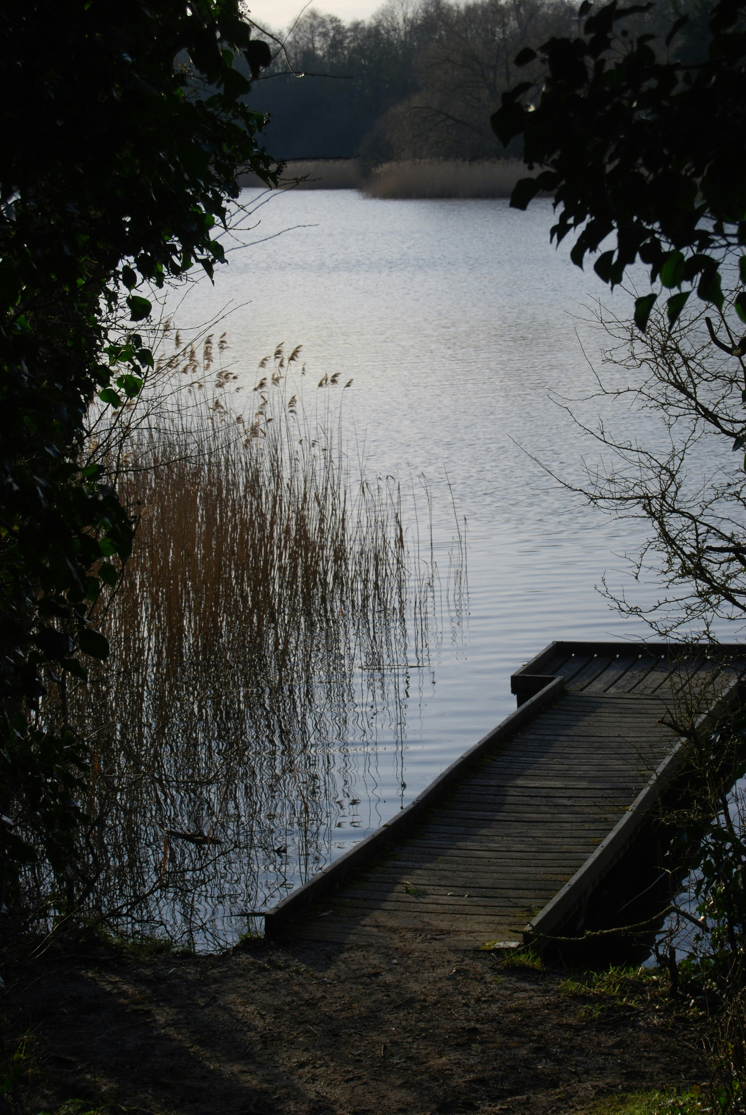 Photo by hazer677744