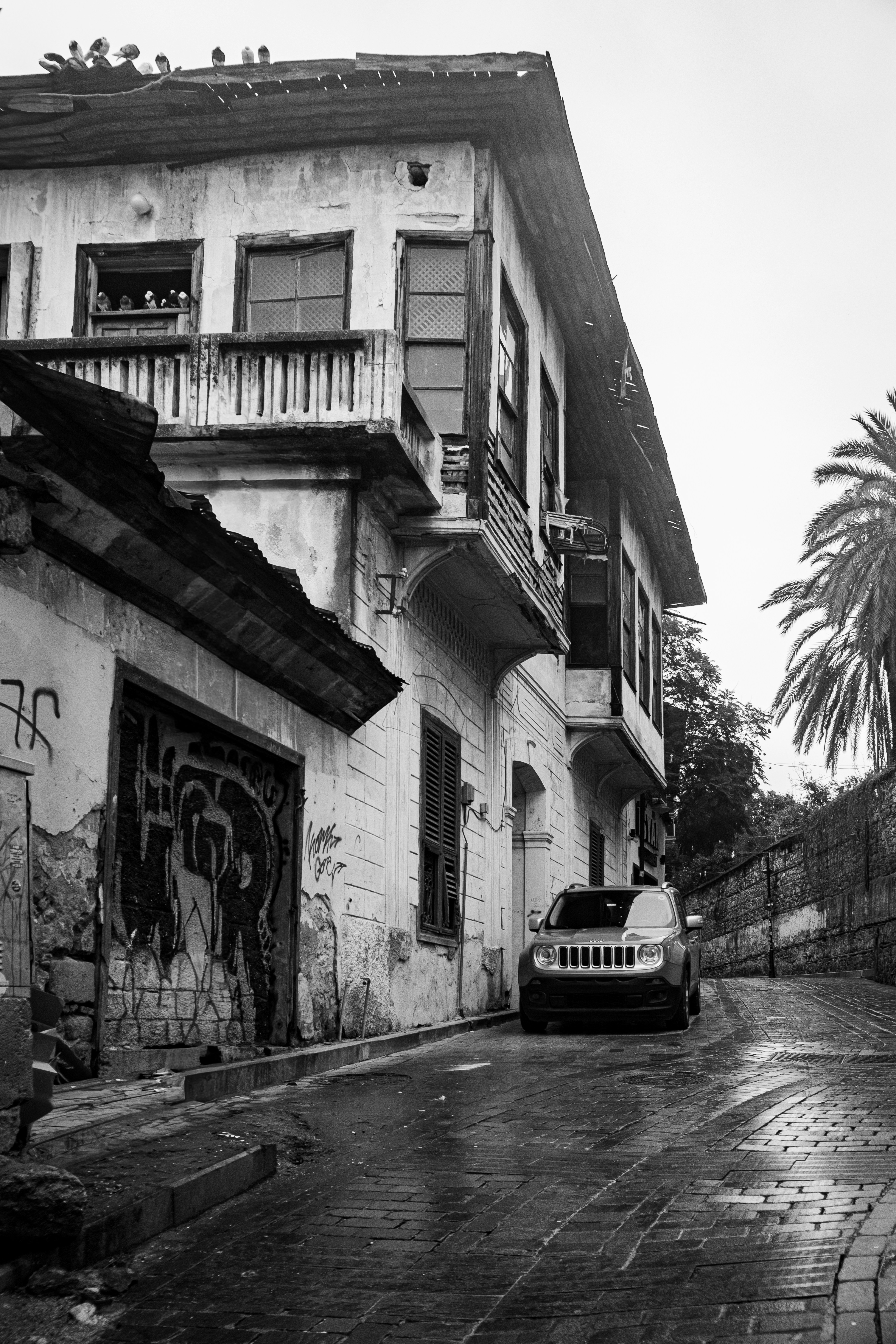 Photo by oldsoulframes