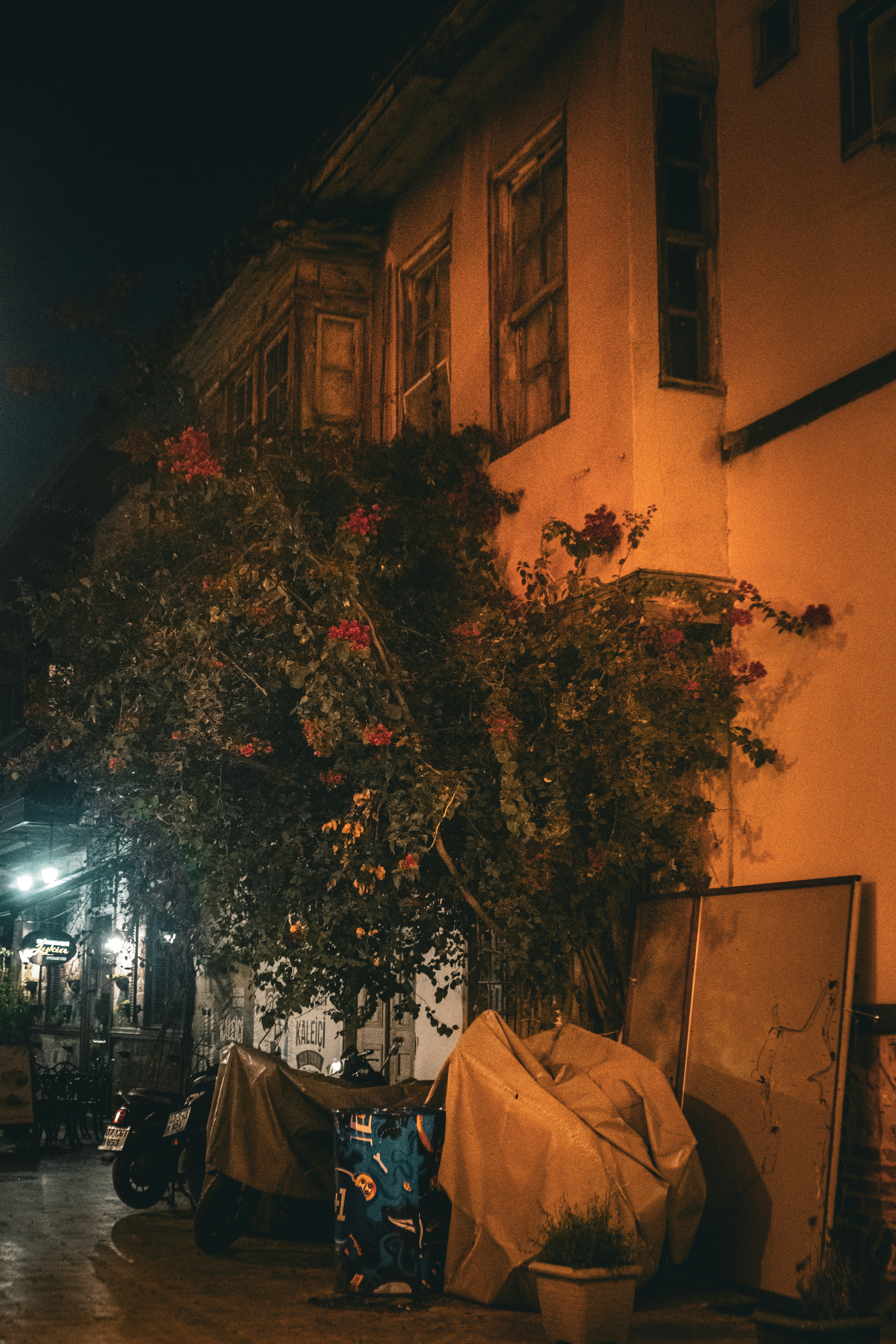 Photo by oldsoulframes