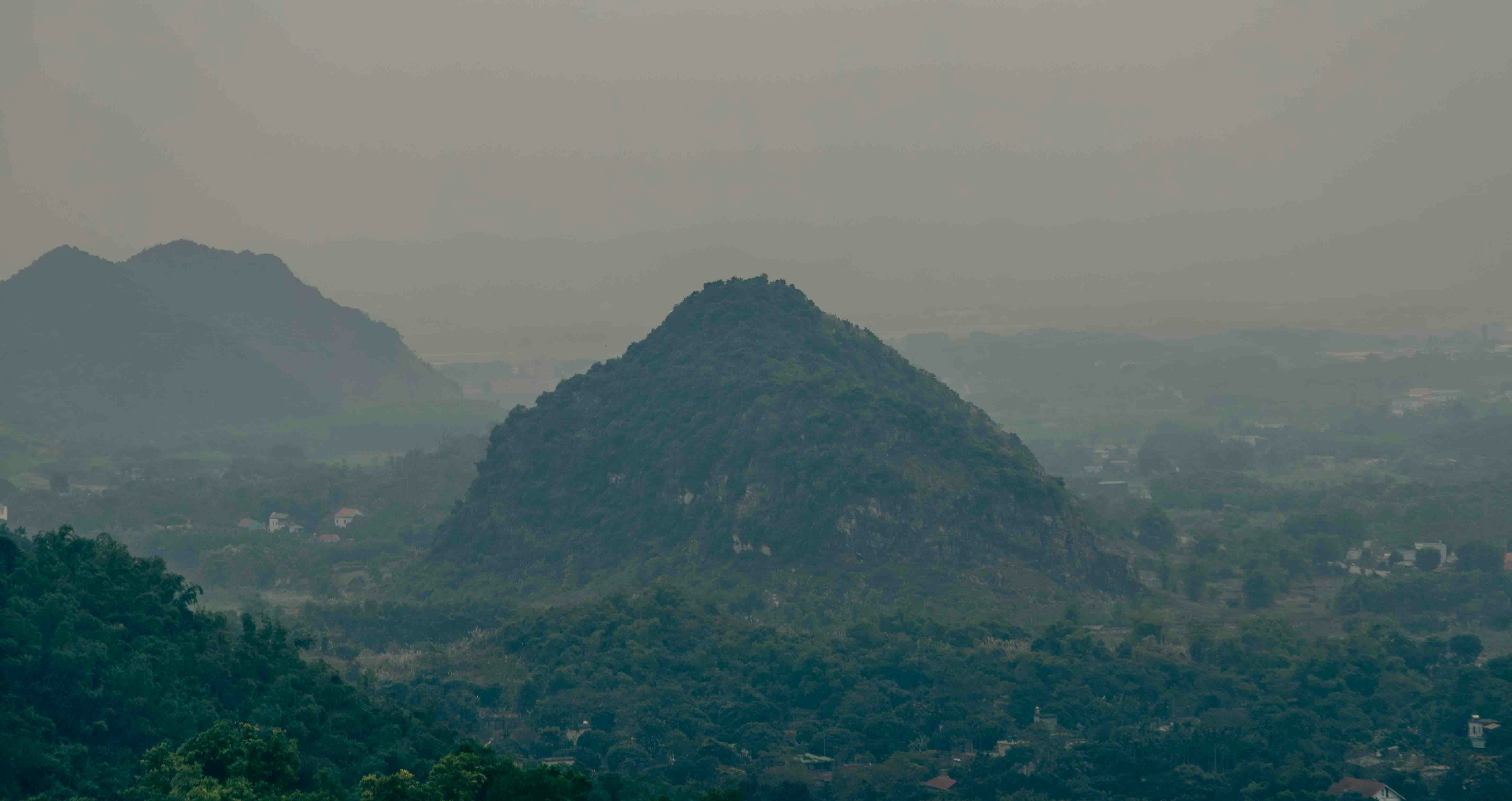 Misty mountains covered in lush green trees 풍경 사진