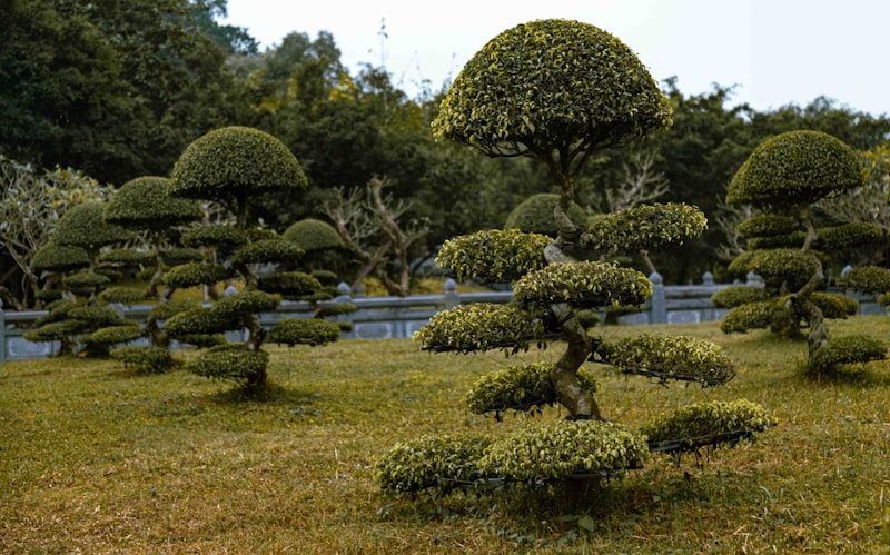 Garden landscaping in Solihull