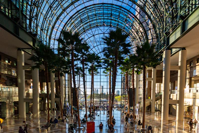 Interior of large building with palm trees and glass ceiling