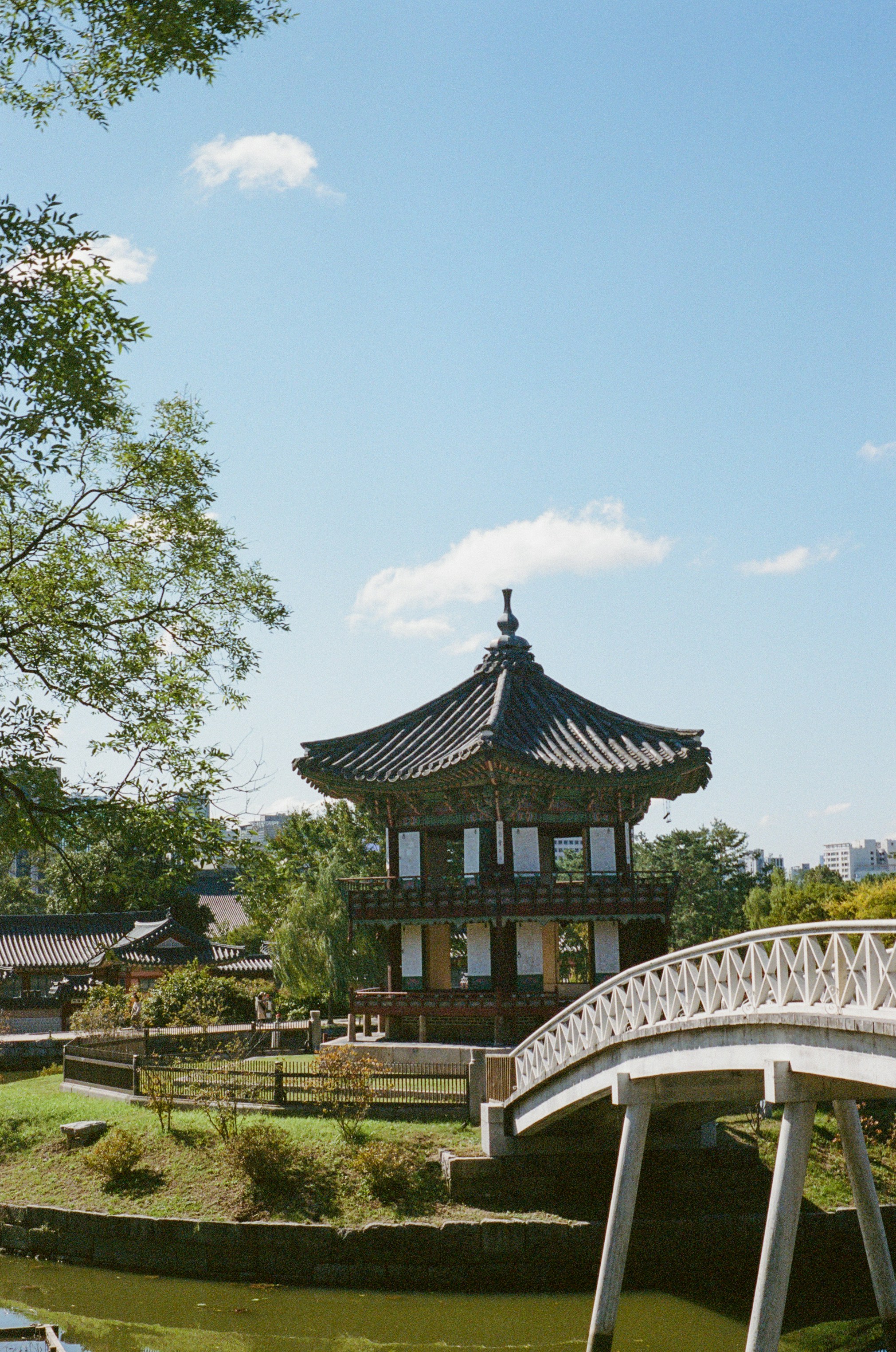 池のそばにある伝統的な韓国亭と橋