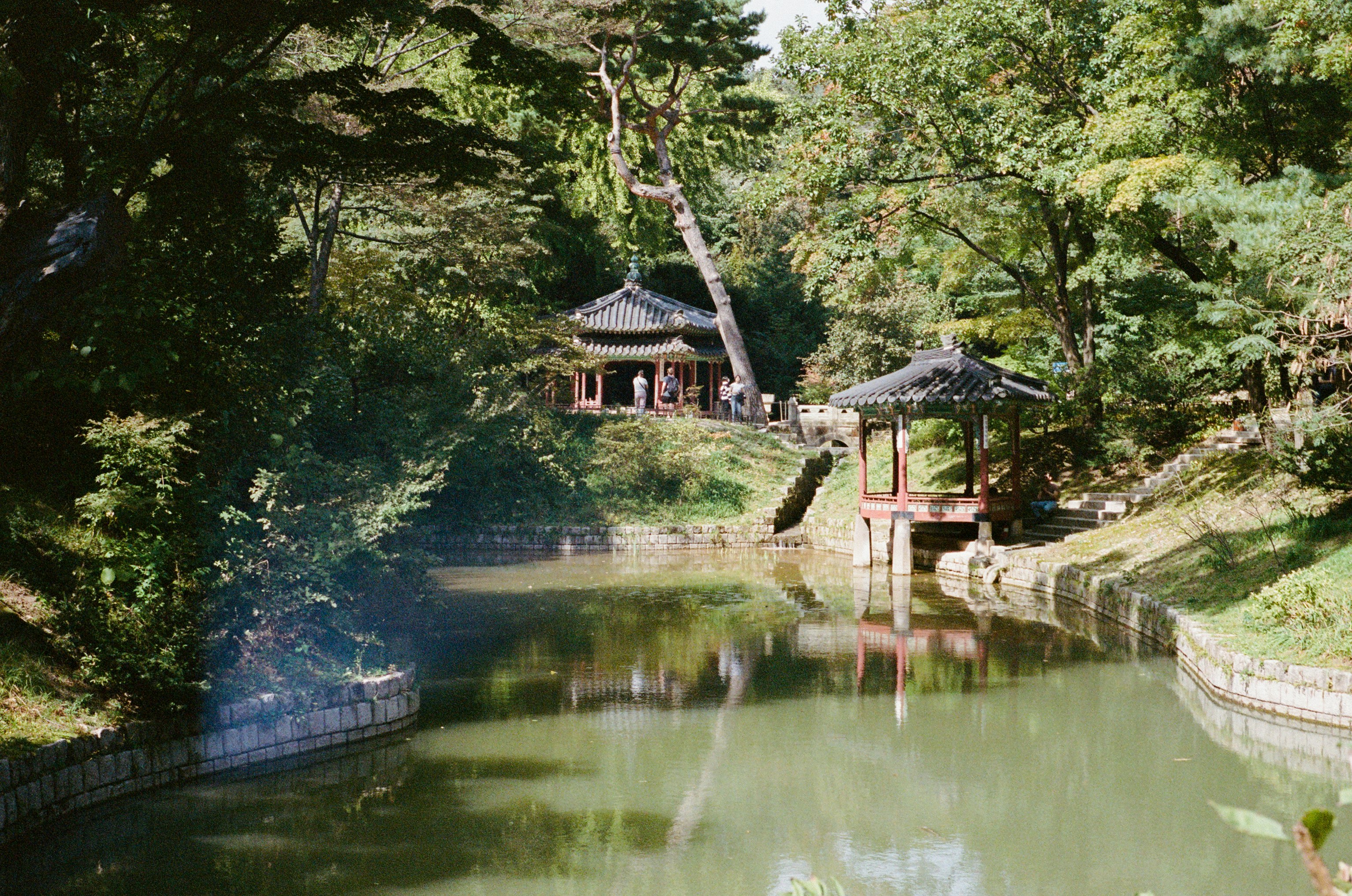 静かな池のそばにある伝統的な韓国のパビリオン