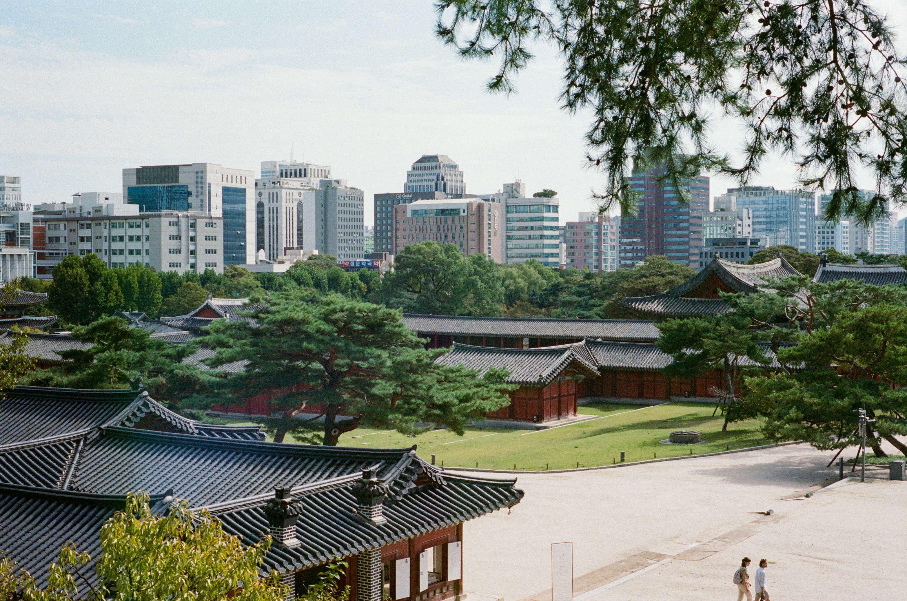 伝統的な韓国建築と現代的な都市のスカイラインが背後に広がっています。