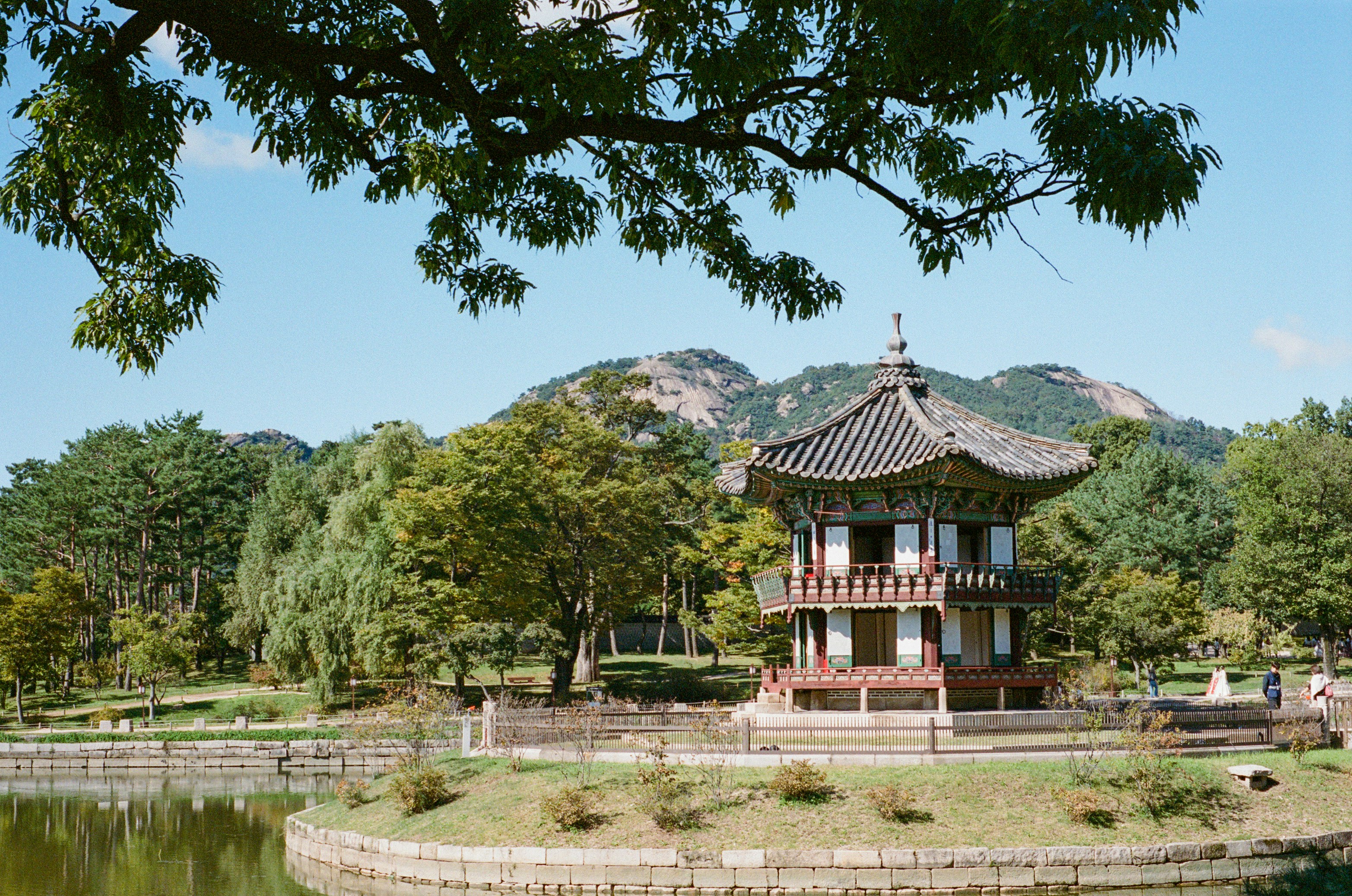 Test The whole future lies in uncertainty: live immediately.