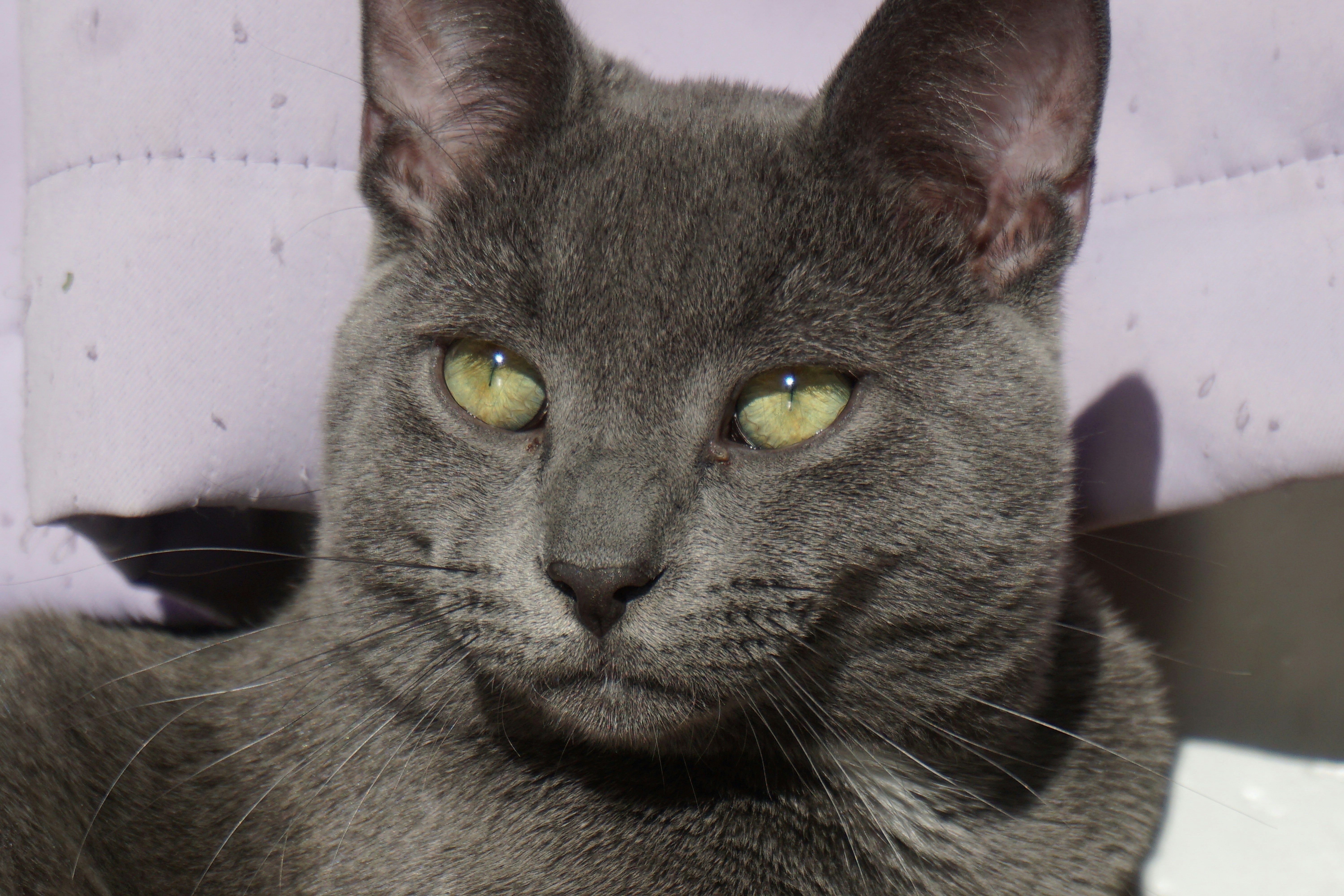 Photo by frolicsomefairy