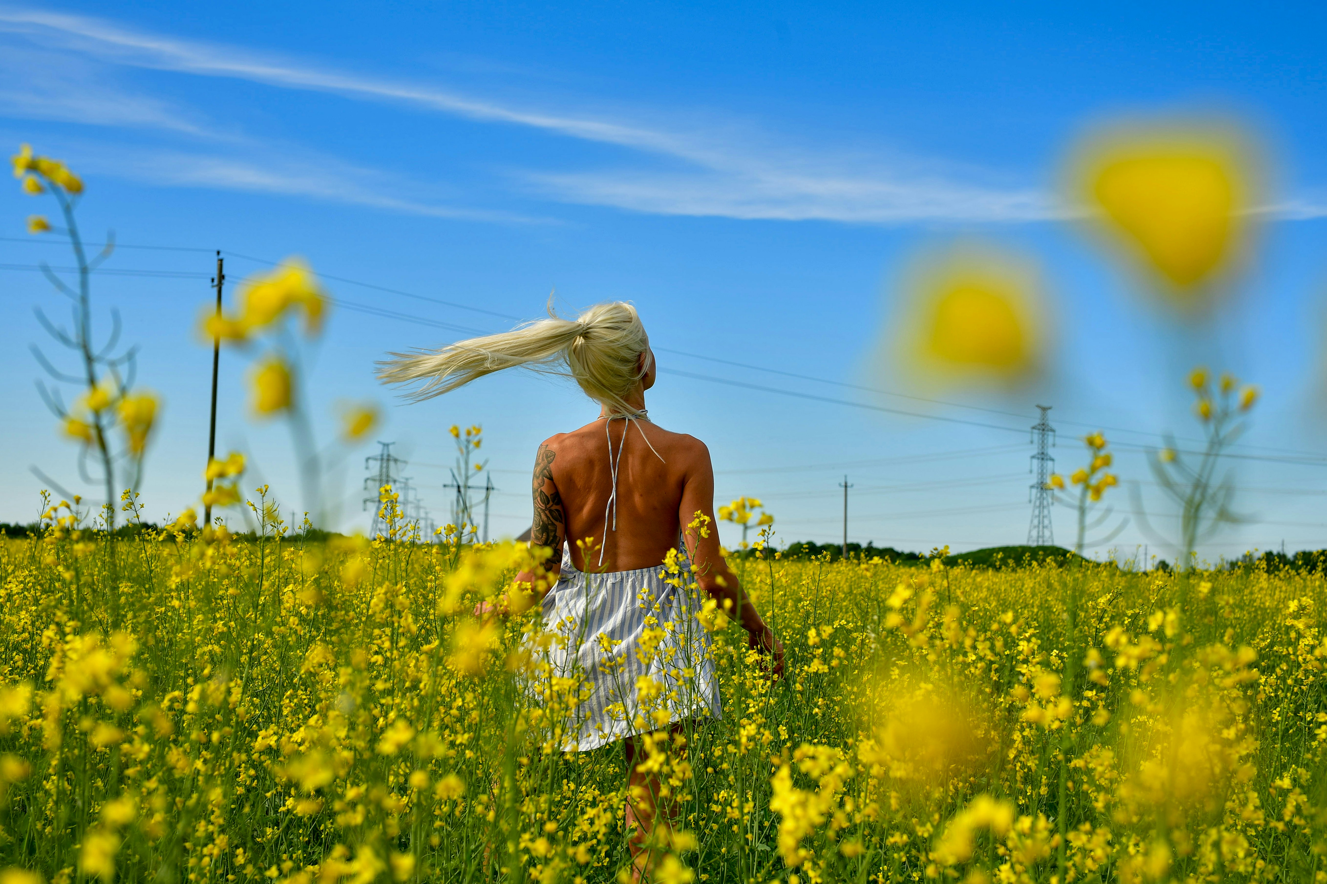 Woman walks through a field of yellow flowers.