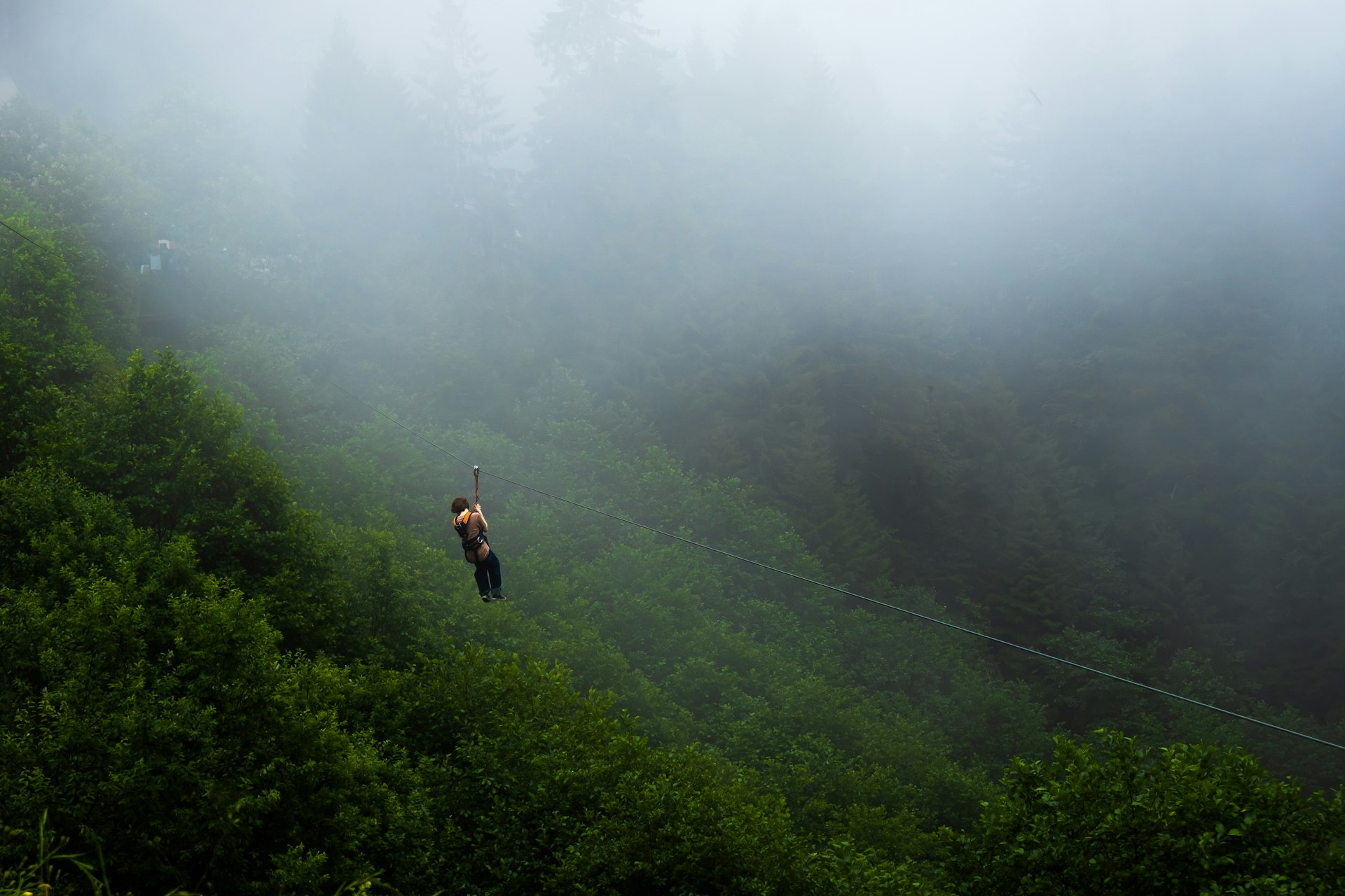 Person zip-lining through a foggy, tree-covered mountainside.