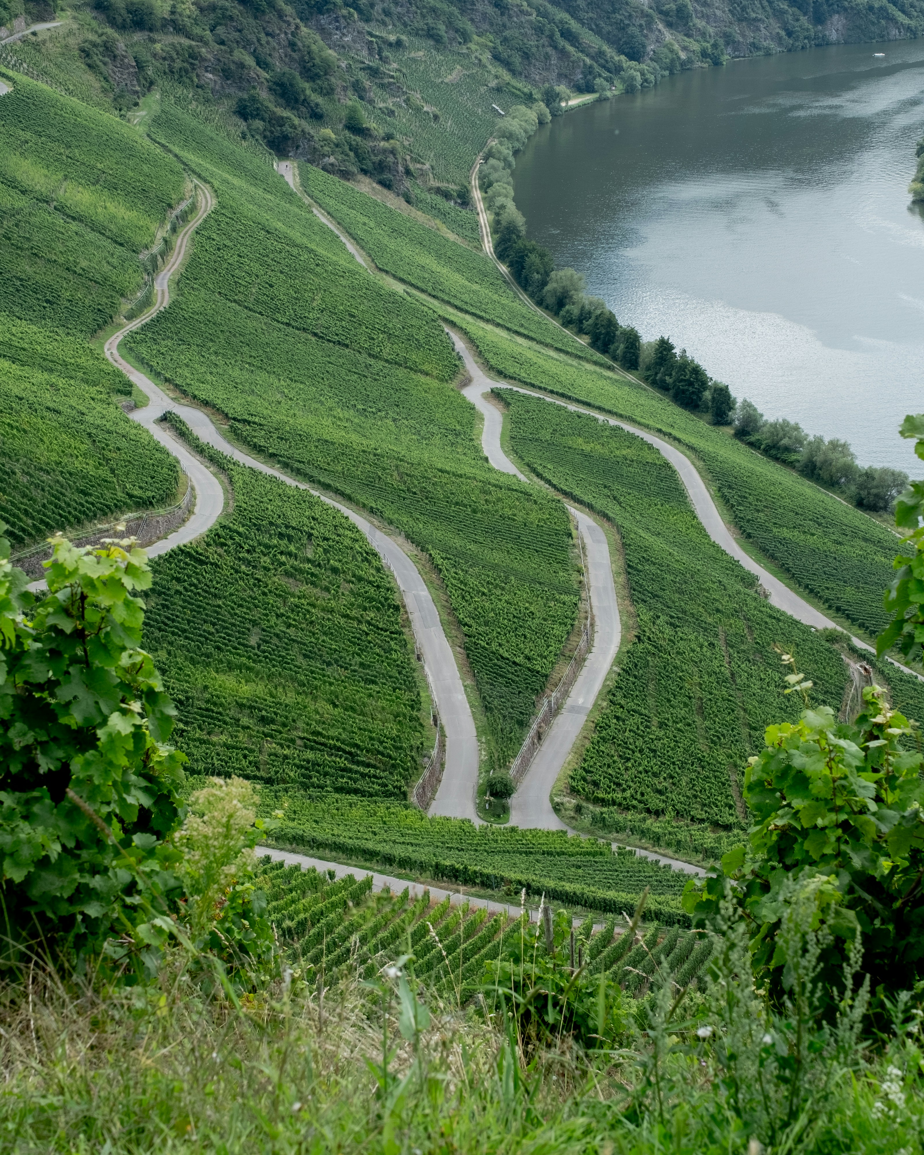 Photo by pieter_olievier