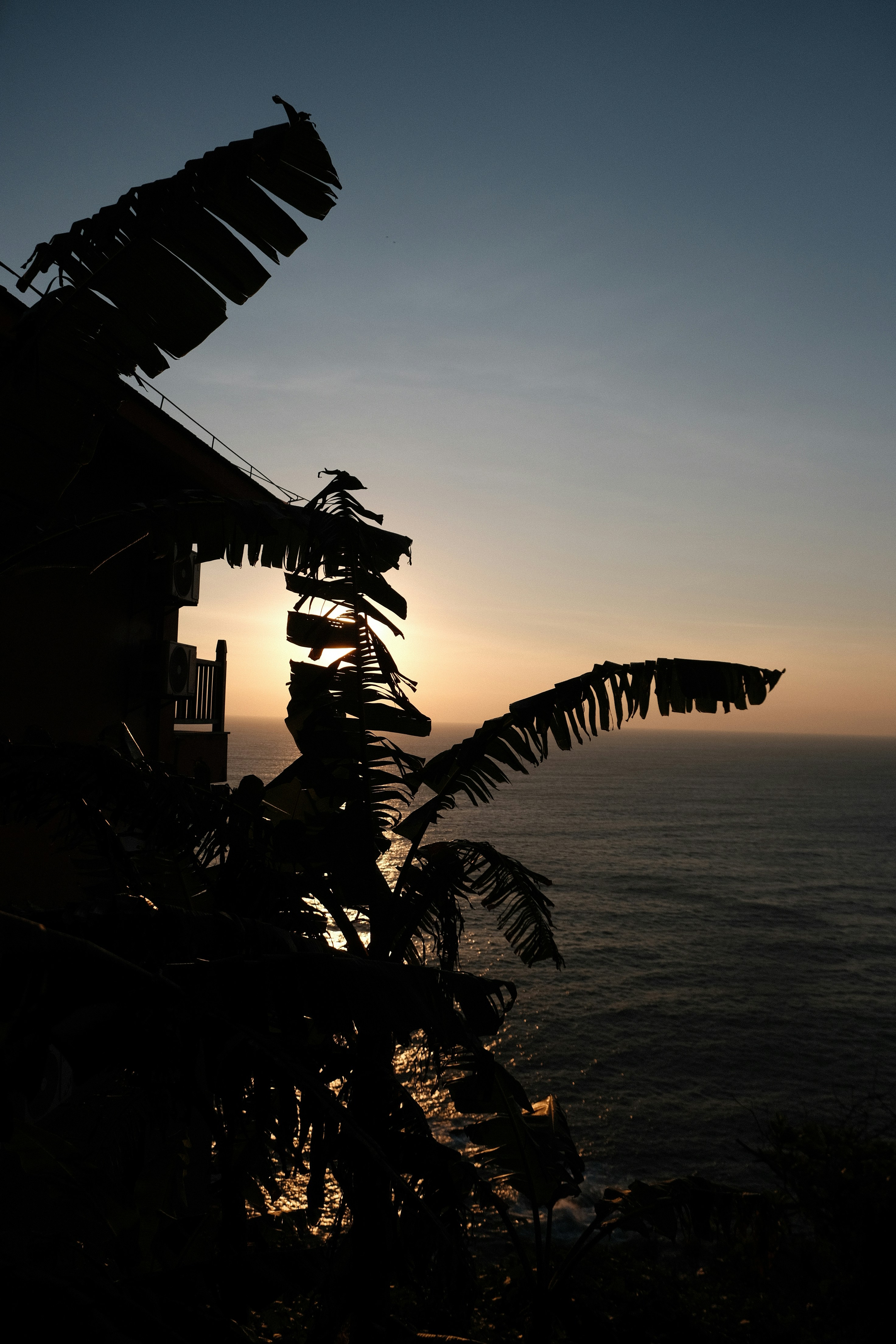 Tropical sunset over the ocean with silhouetted palm trees.