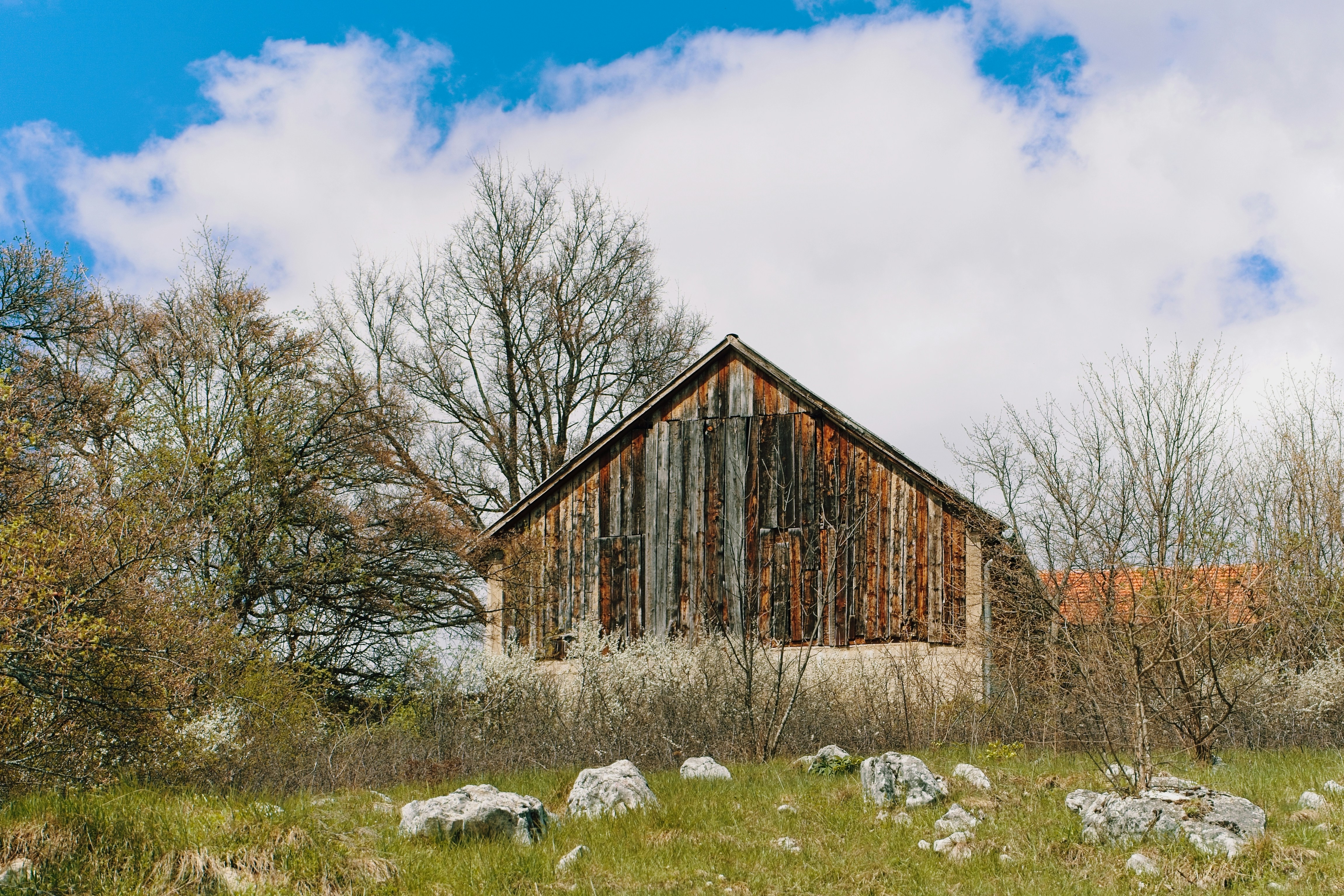 Photo by nedimshoots