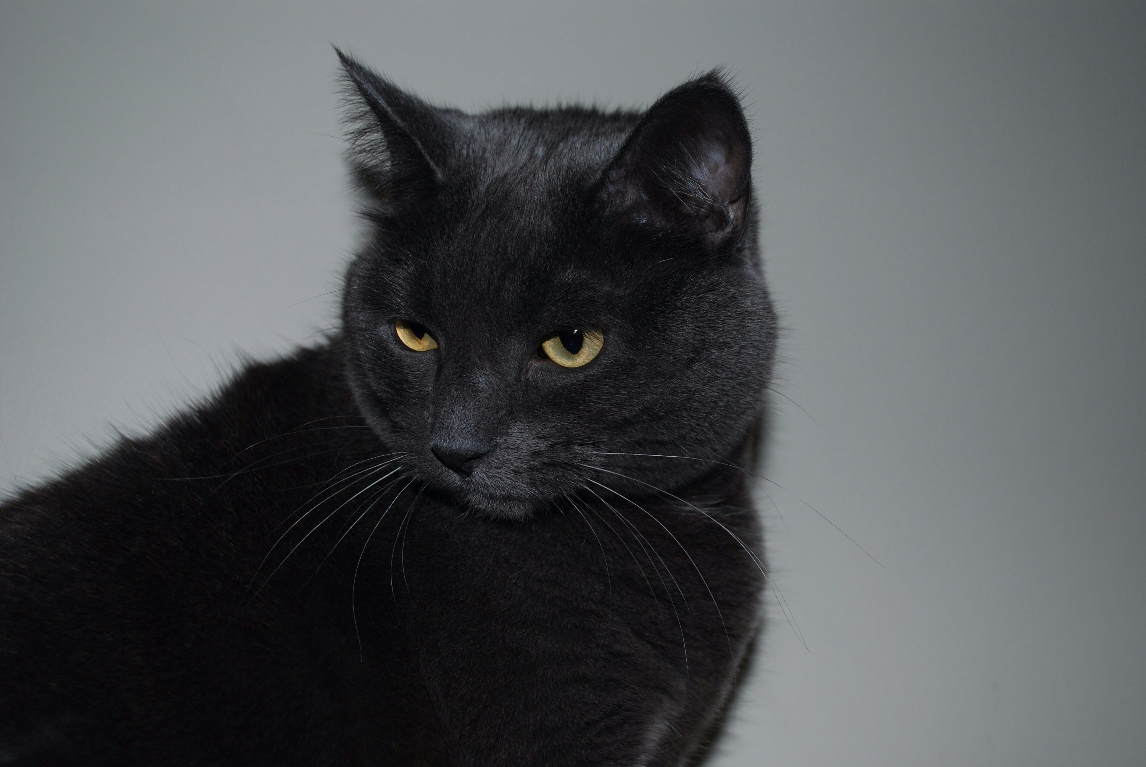 Photo by recreation18