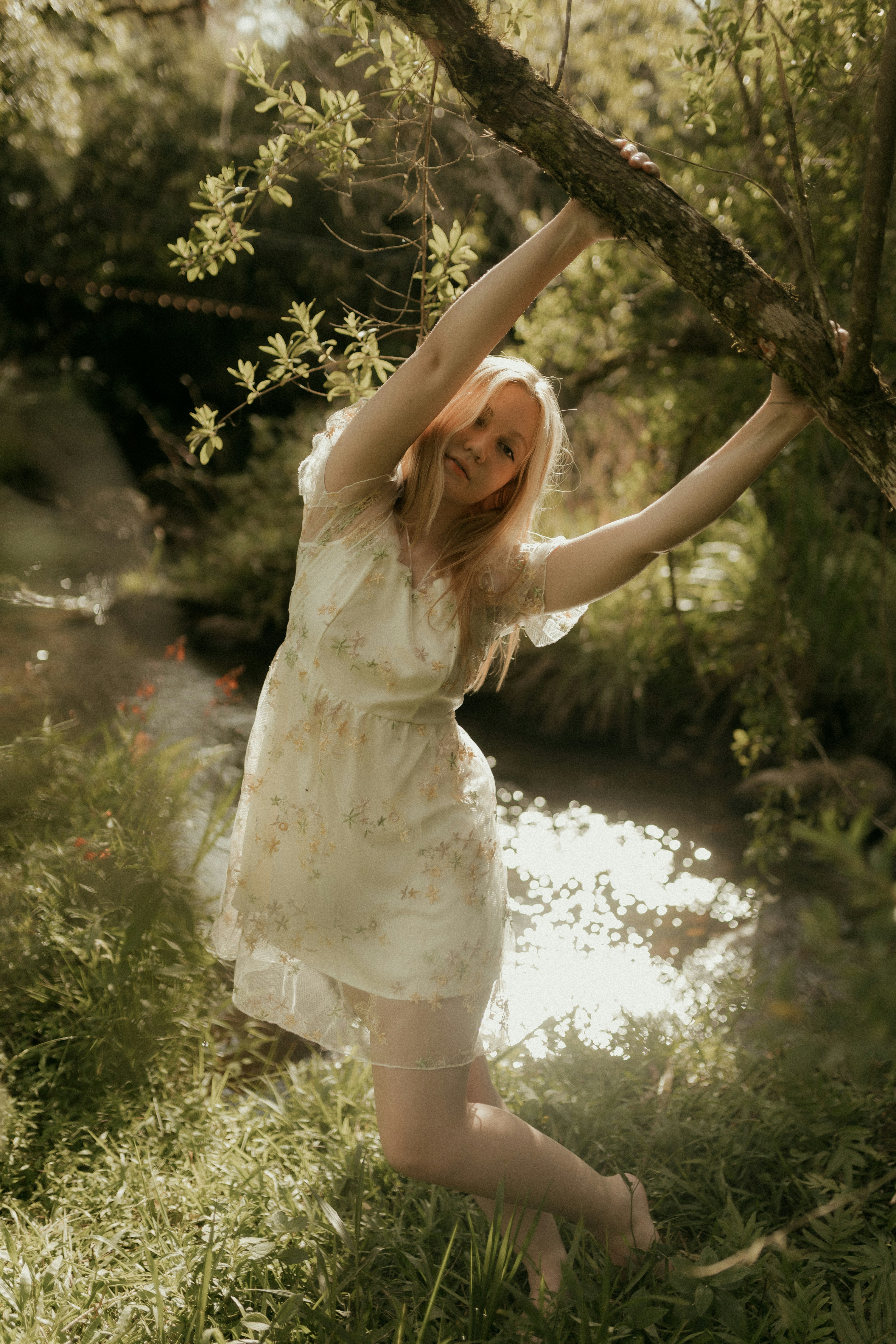 Photo by alexandermassph