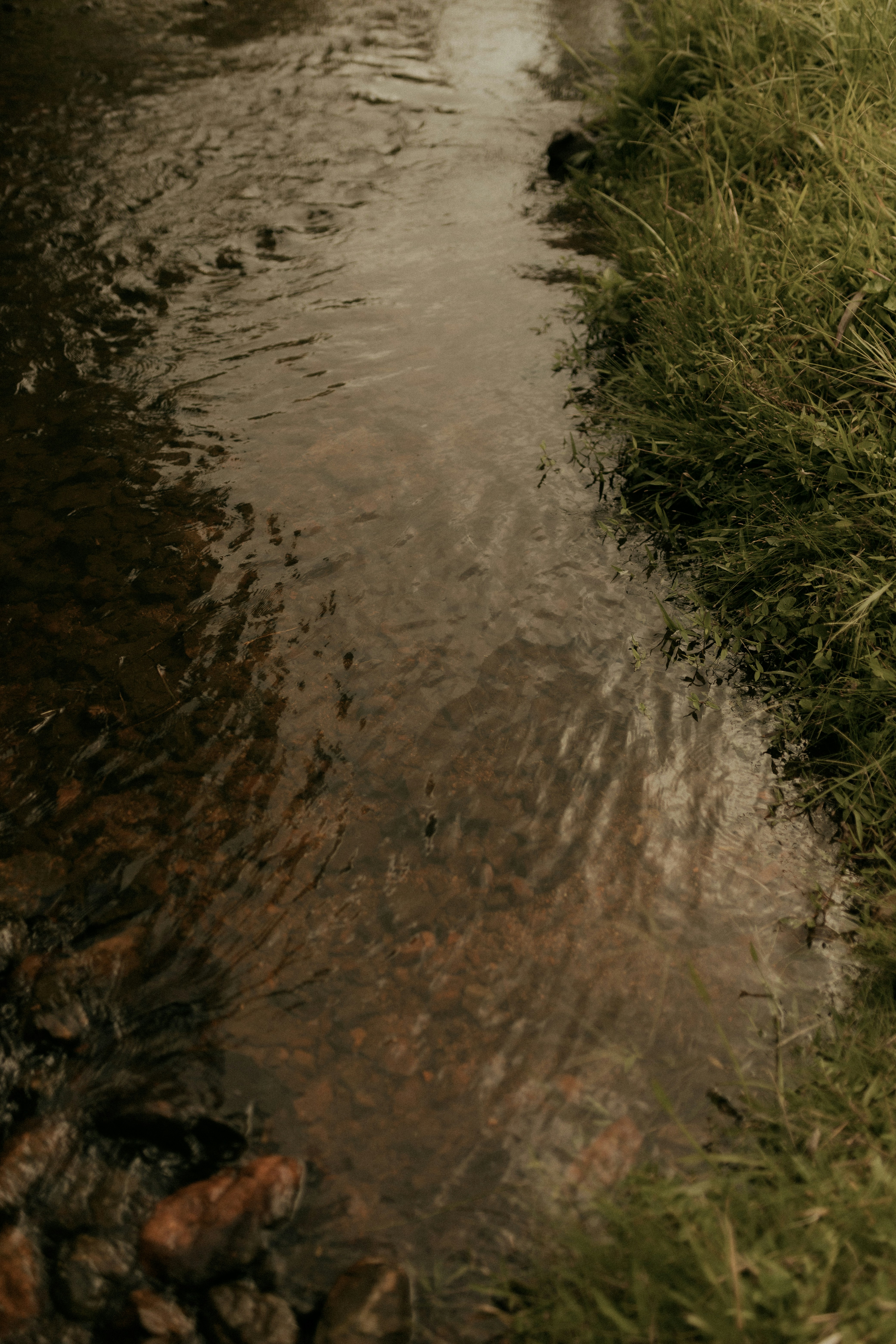 A narrow stream flows through grassy terrain