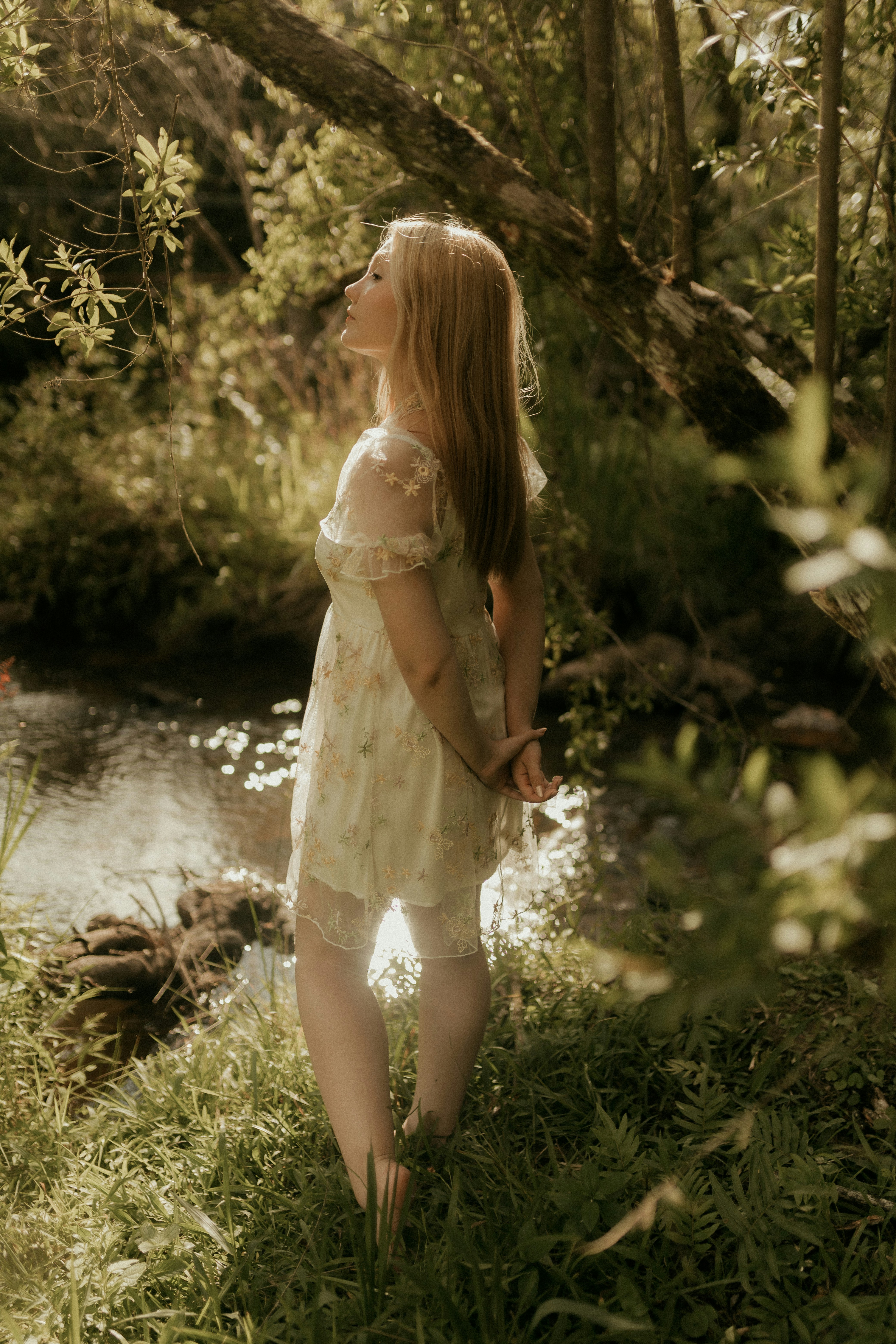 Photo by alexandermassph