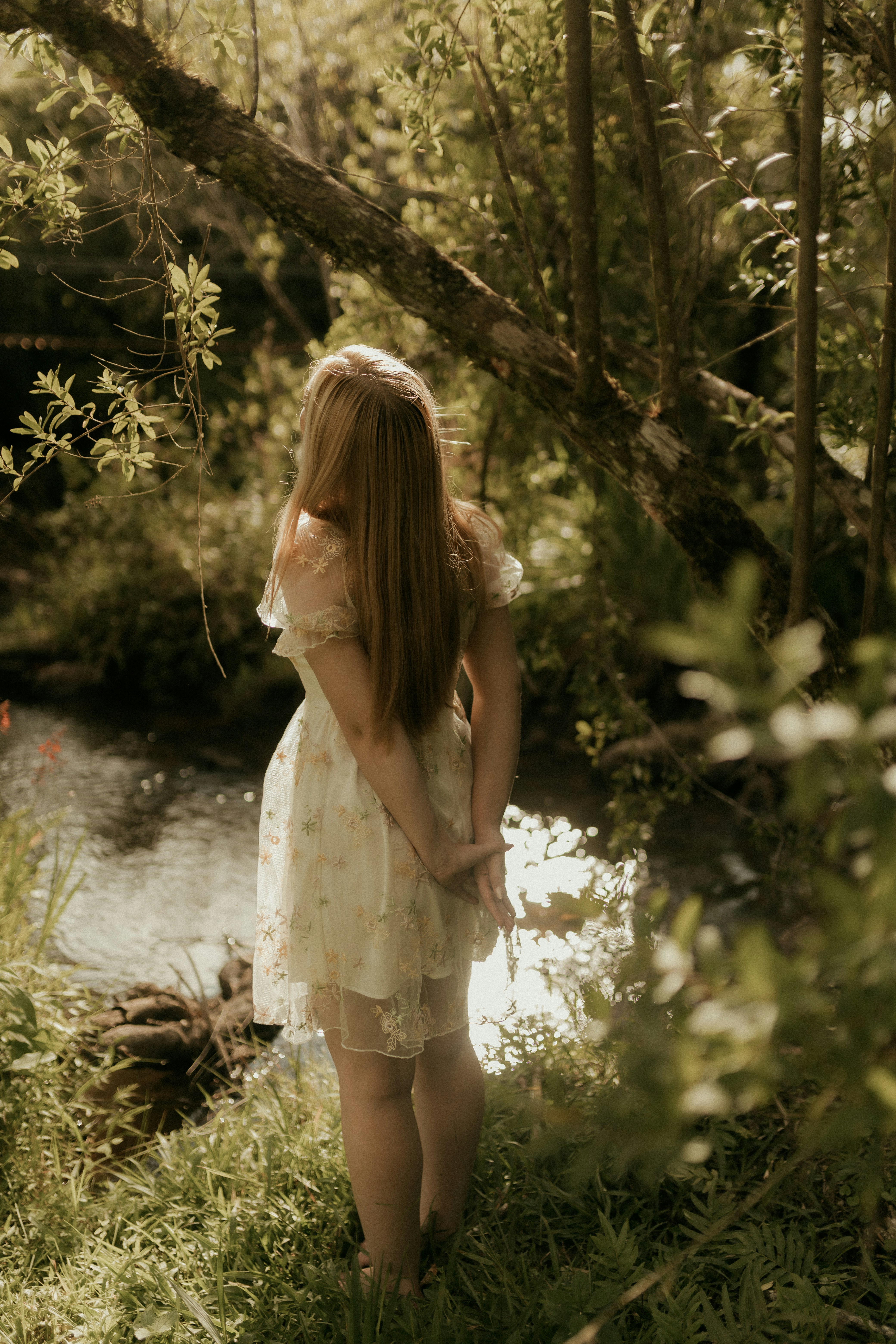 Photo by alexandermassph