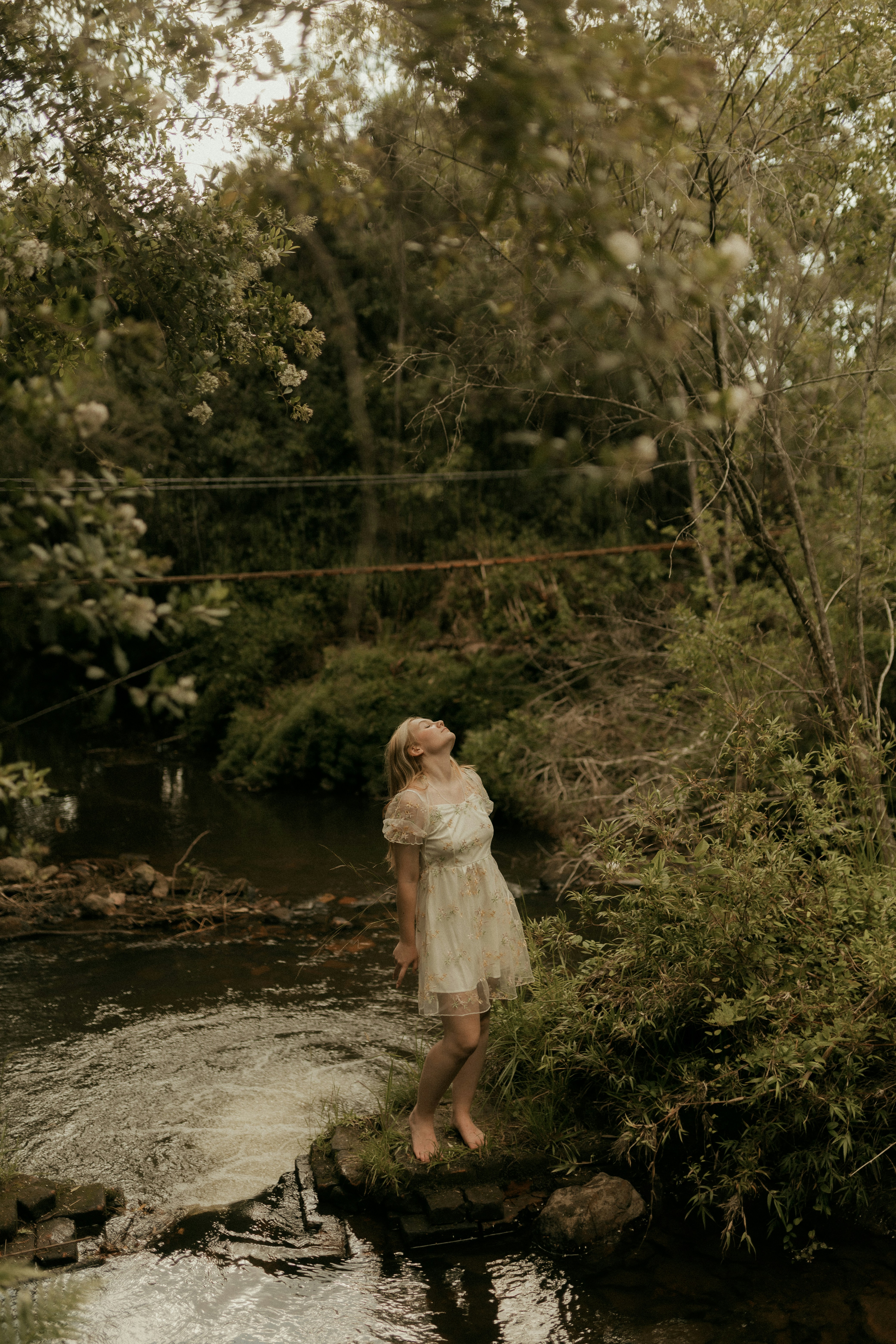 Photo by alexandermassph