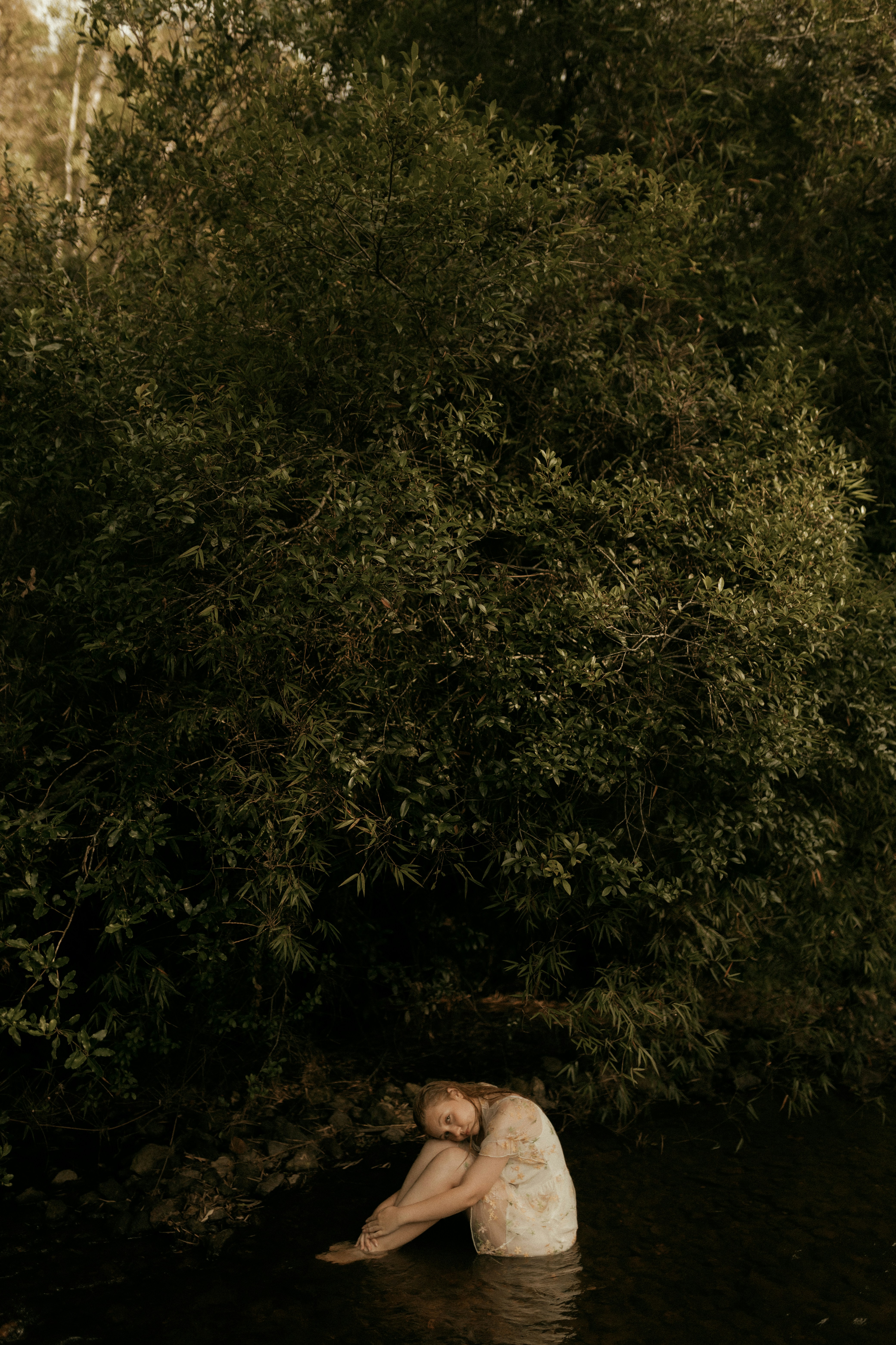 Photo by alexandermassph