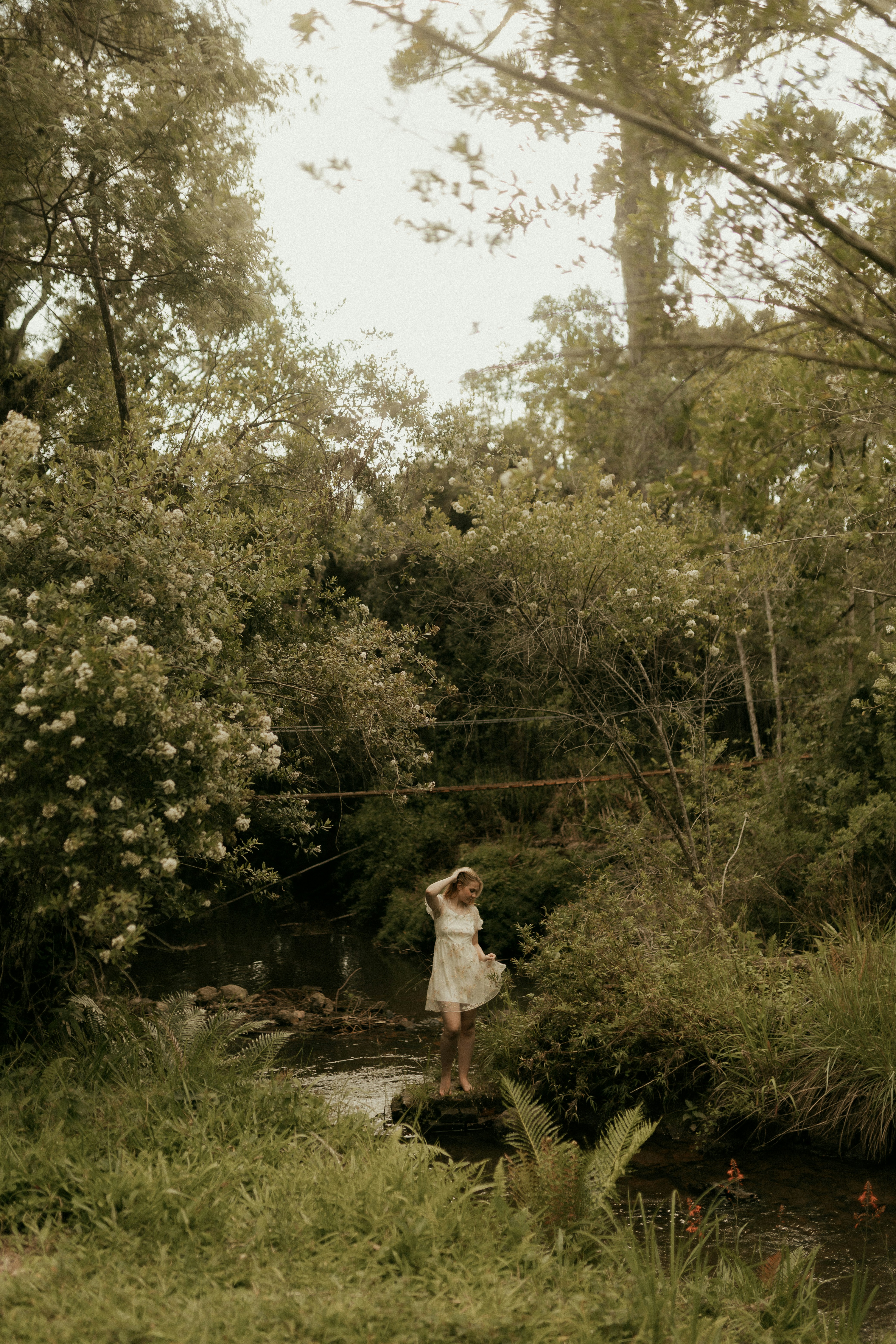 Photo by alexandermassph