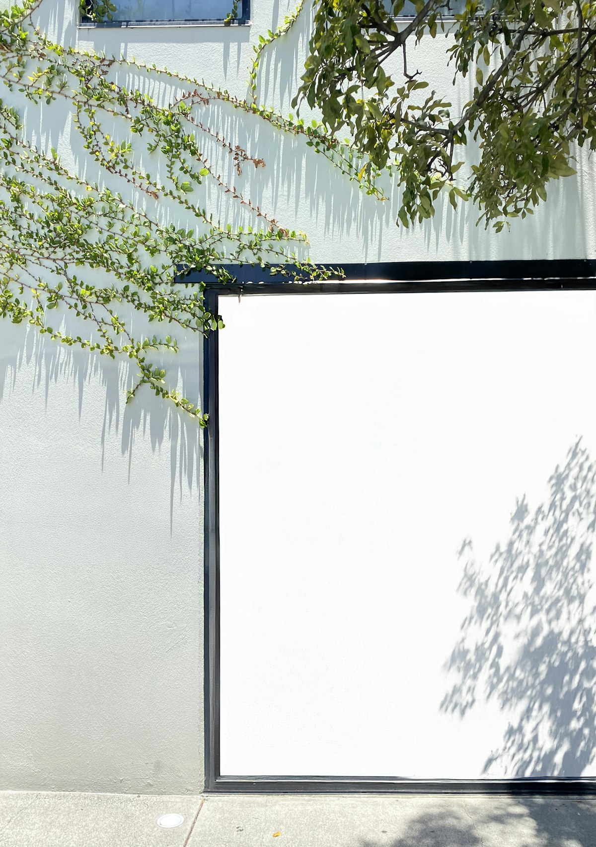 Textured Wall Branding
