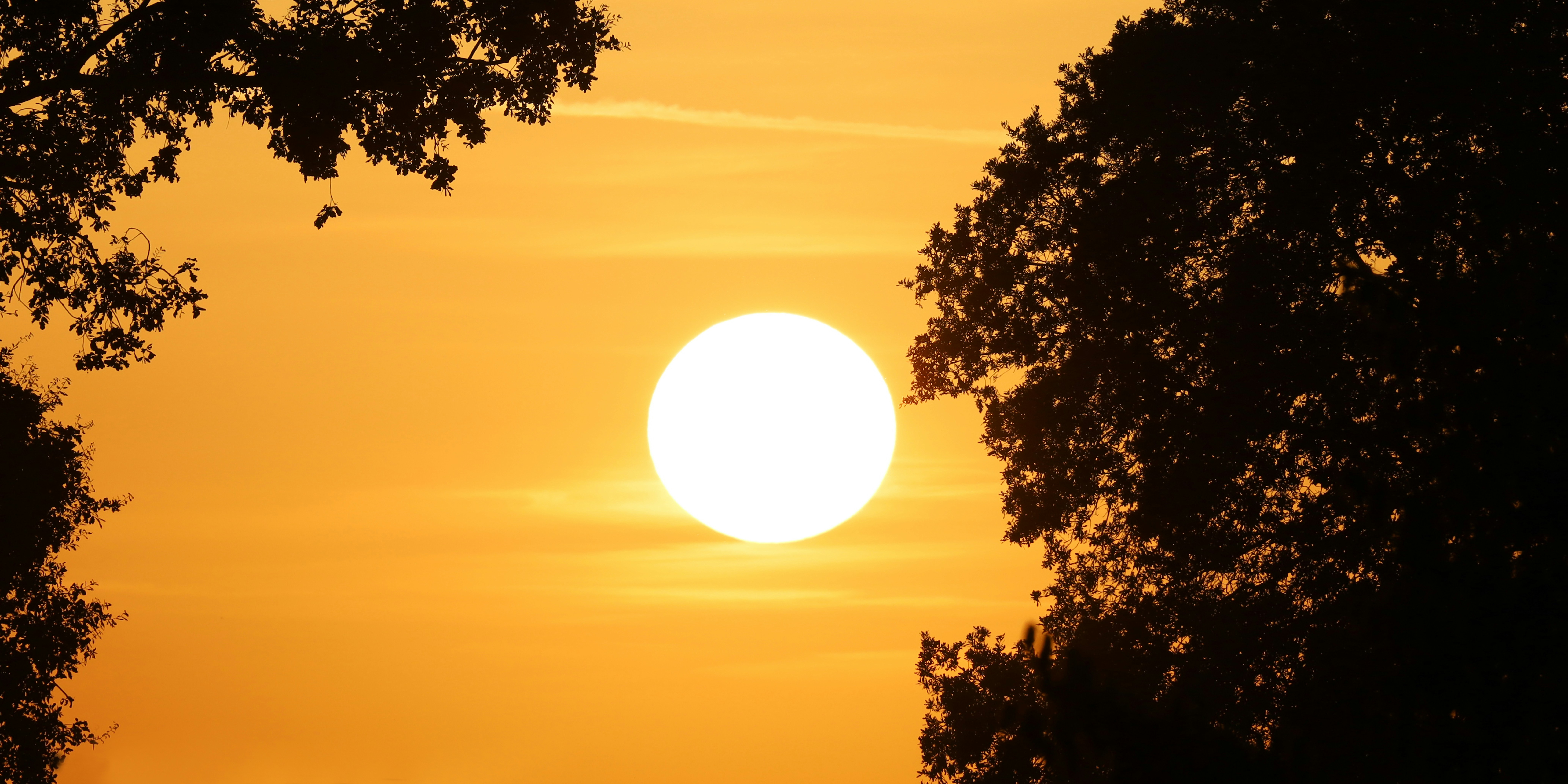 Photo by _fotofurkan_