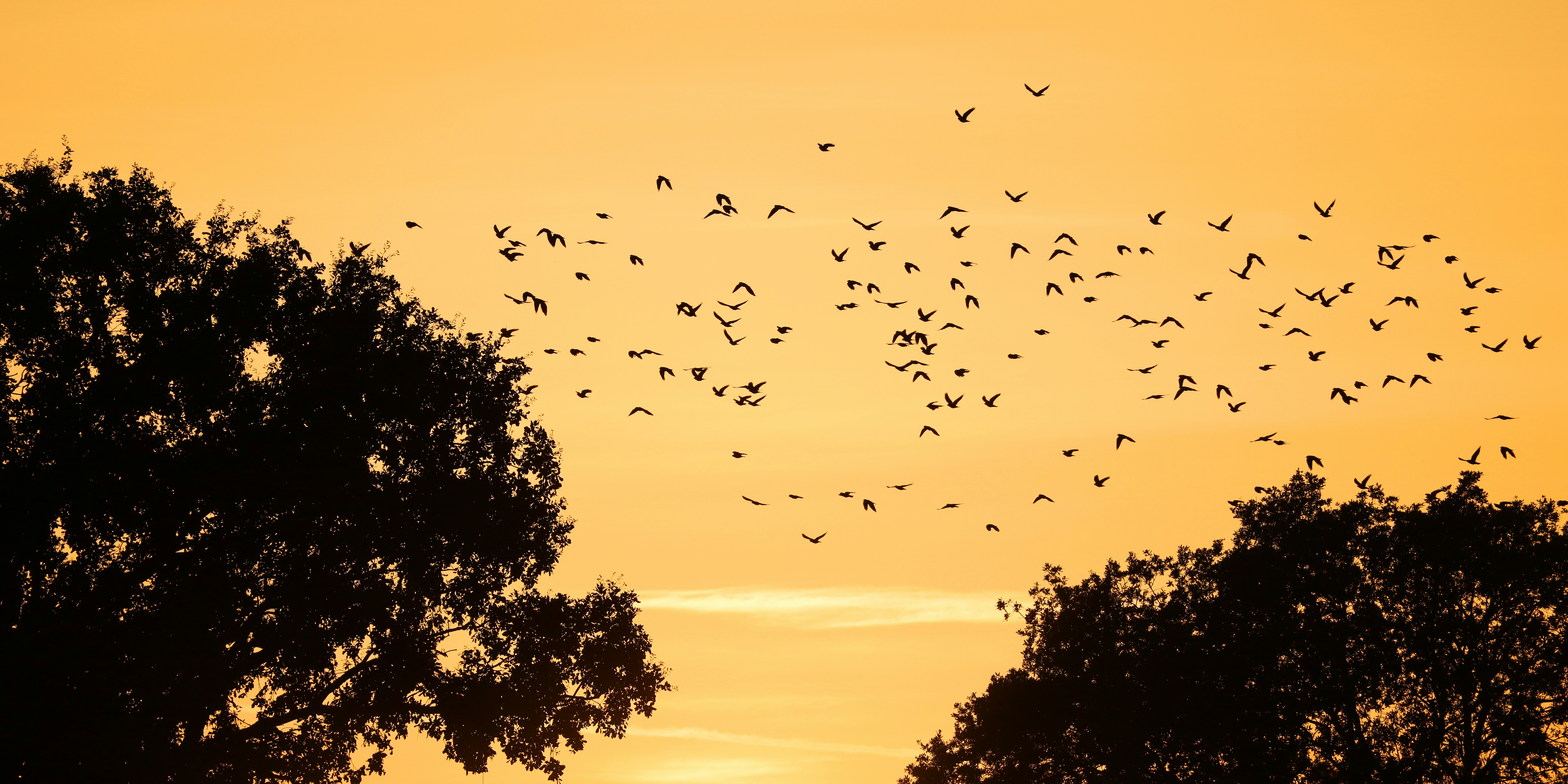 Photo by _fotofurkan_