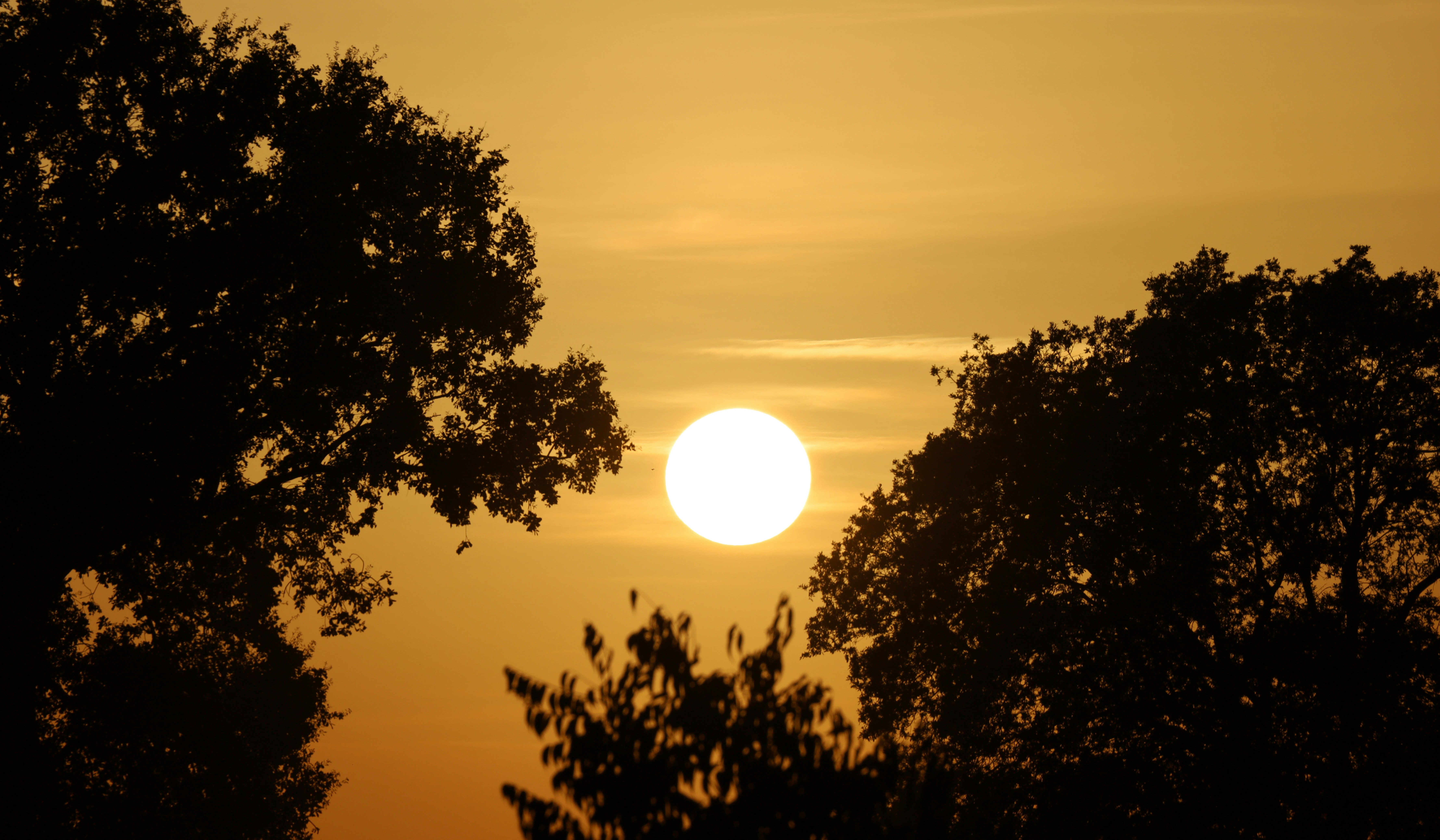 Photo by _fotofurkan_