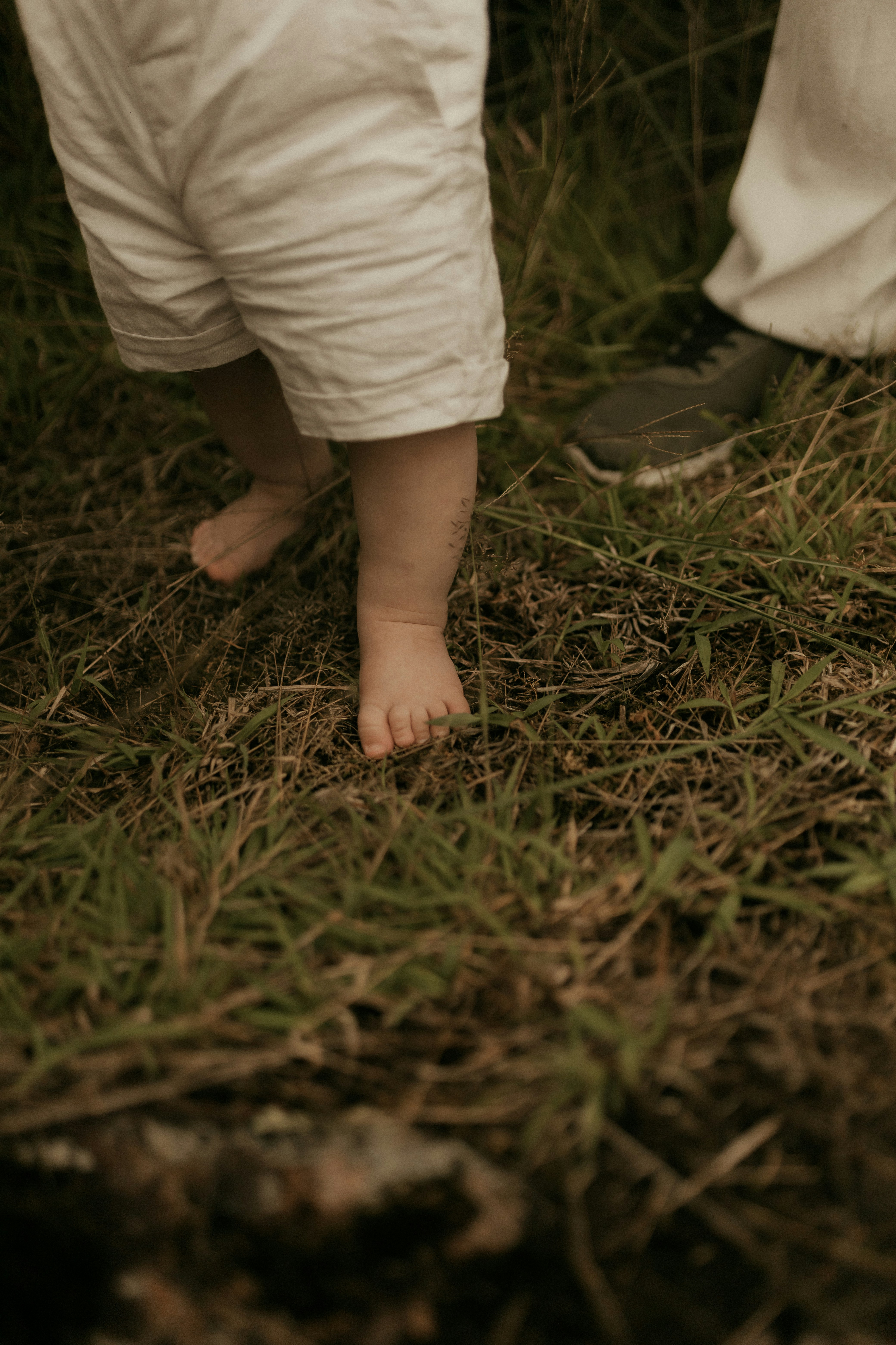 Barefoot toddler legs walk on grass near adult legs