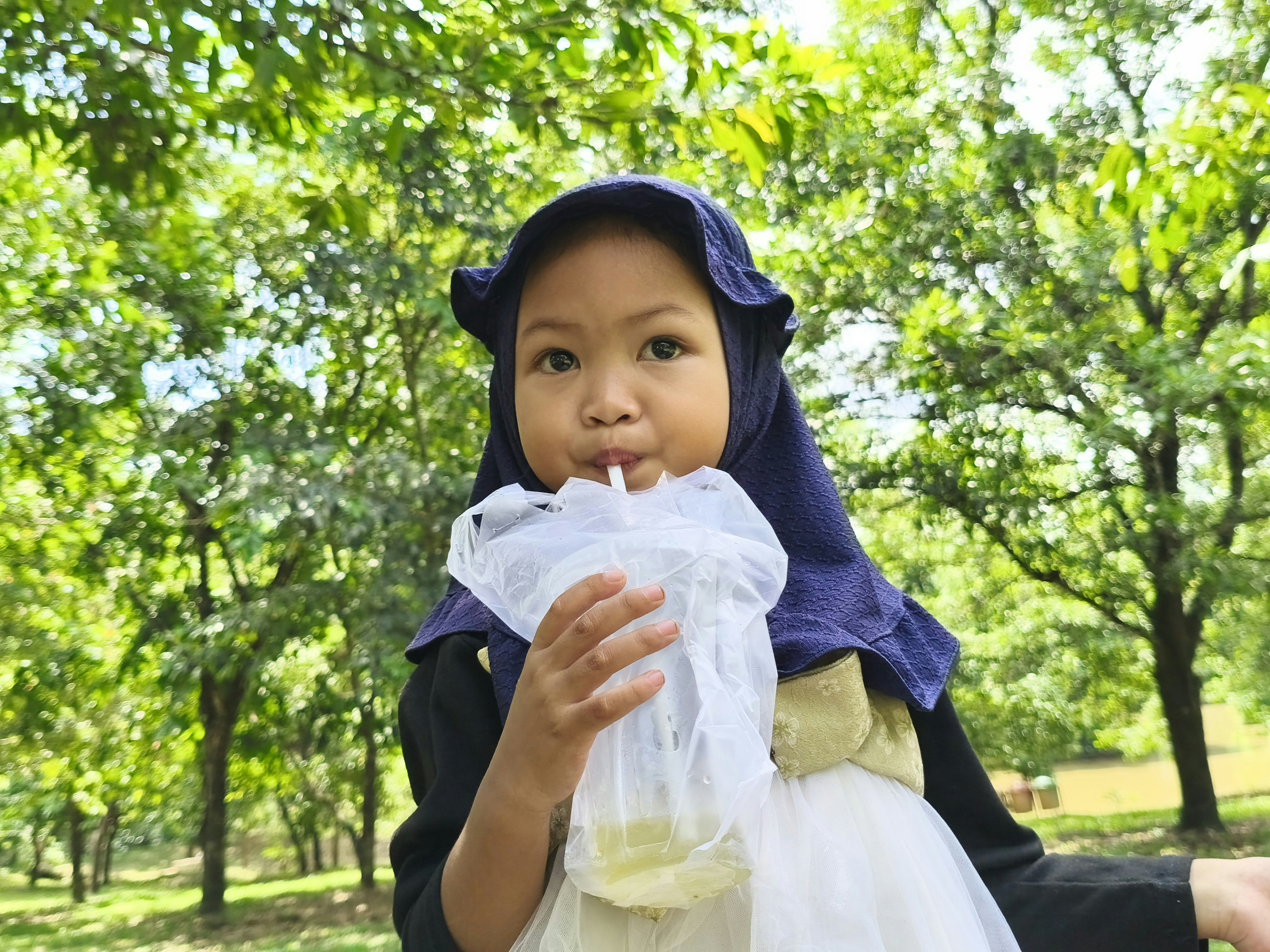 Photo by mrcreatorphotos