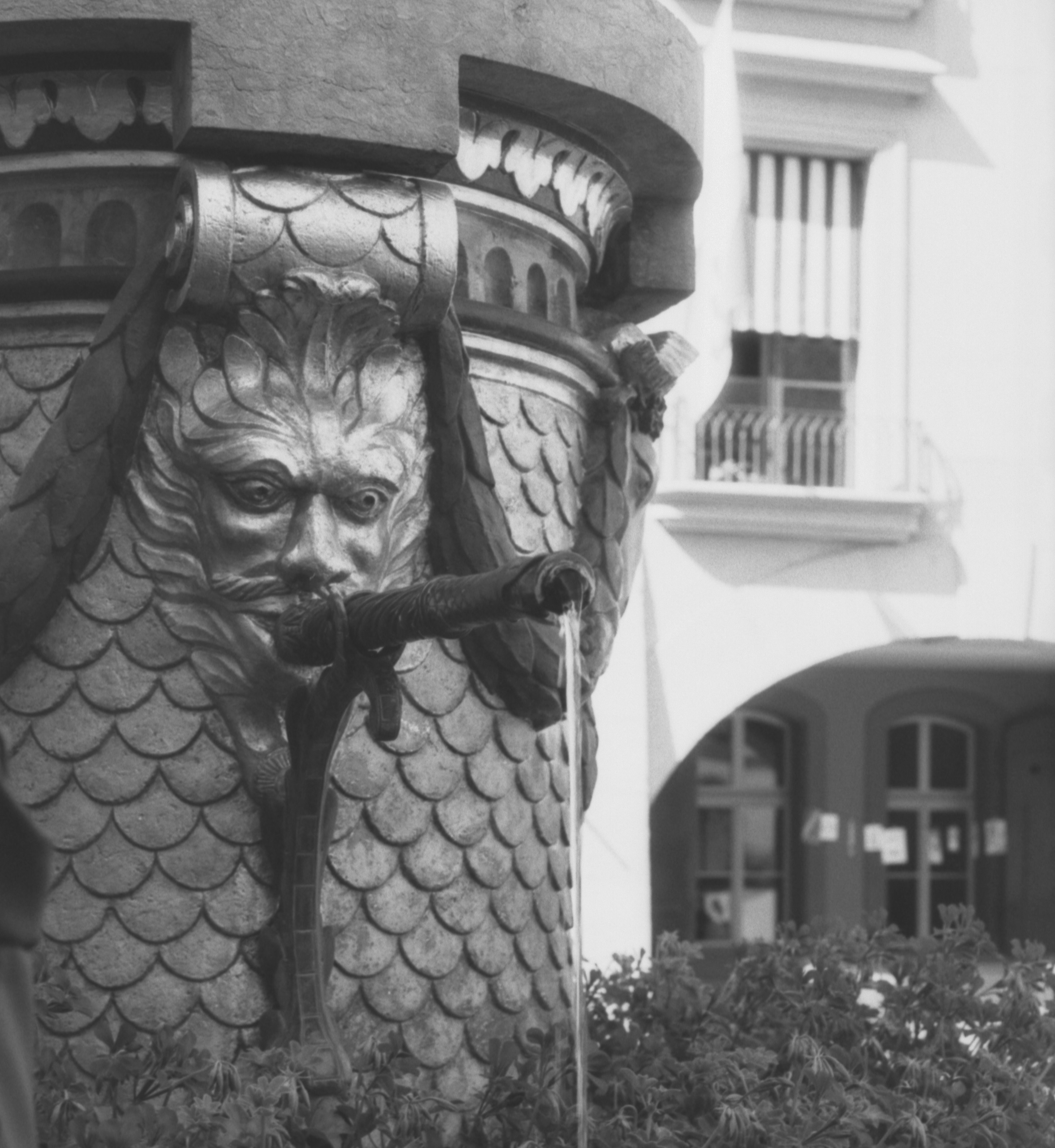 A gargoyle spouts water from a decorative fountain.