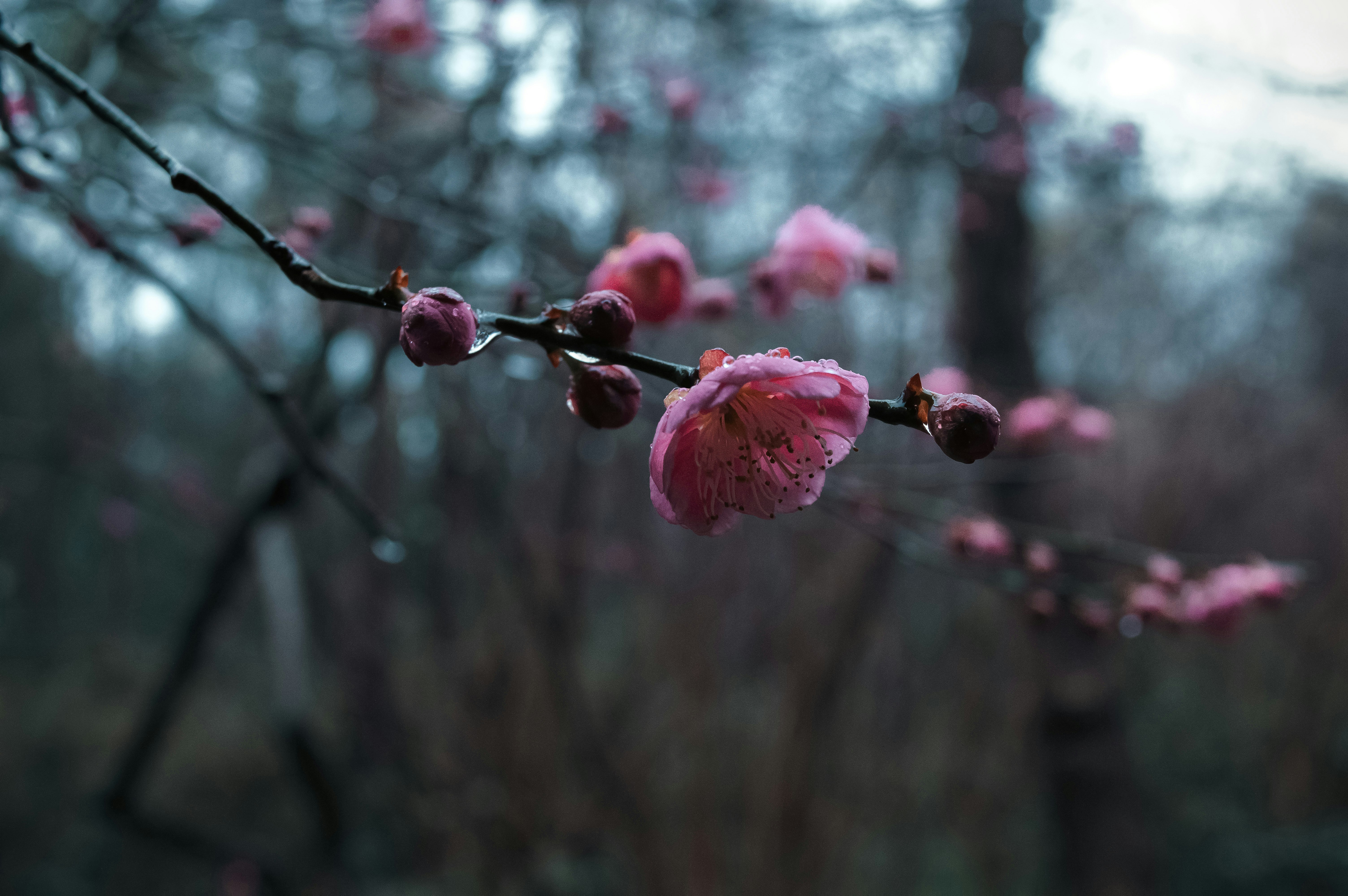 Photo by xiakuangkuang