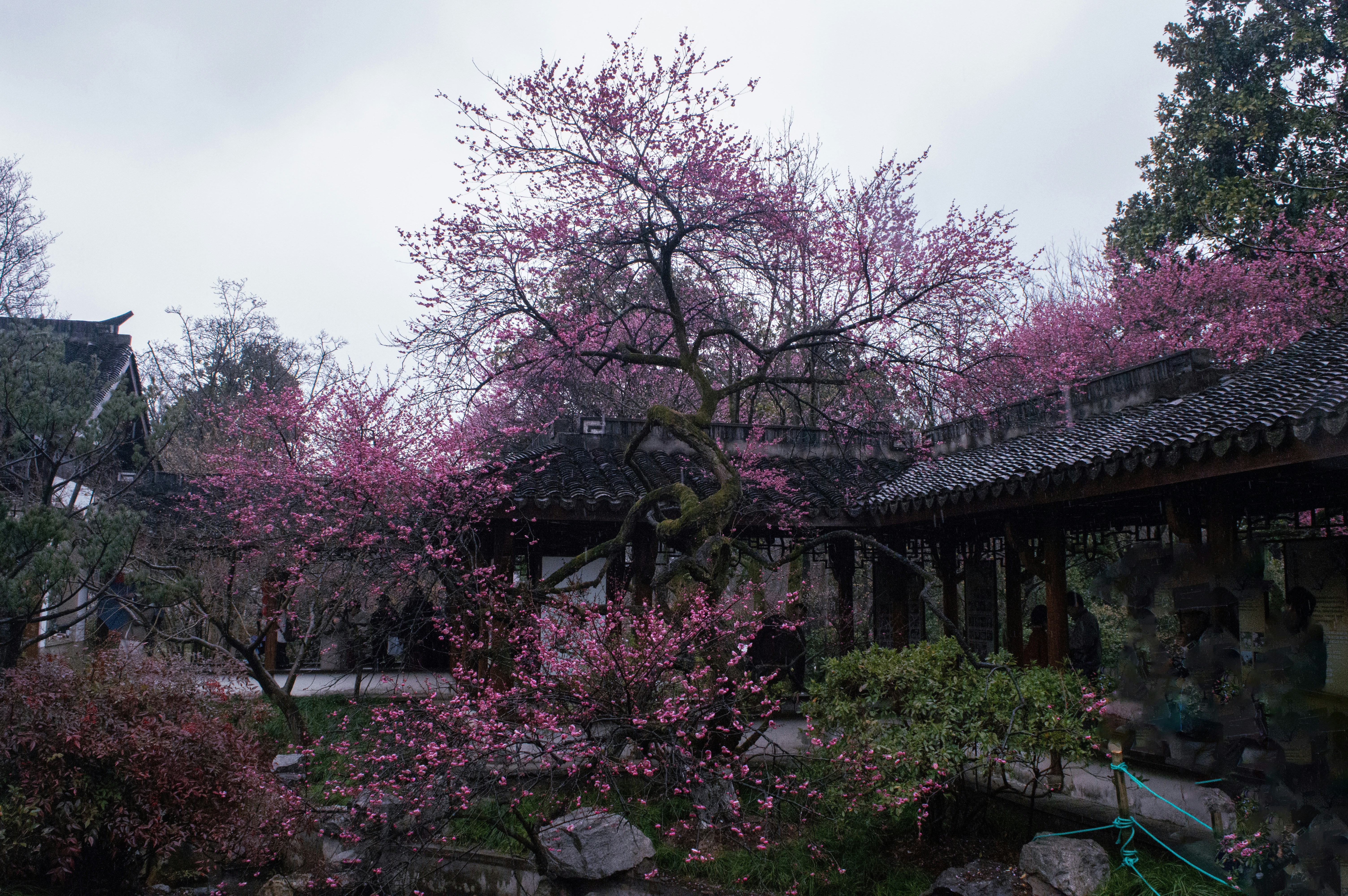 Photo by xiakuangkuang