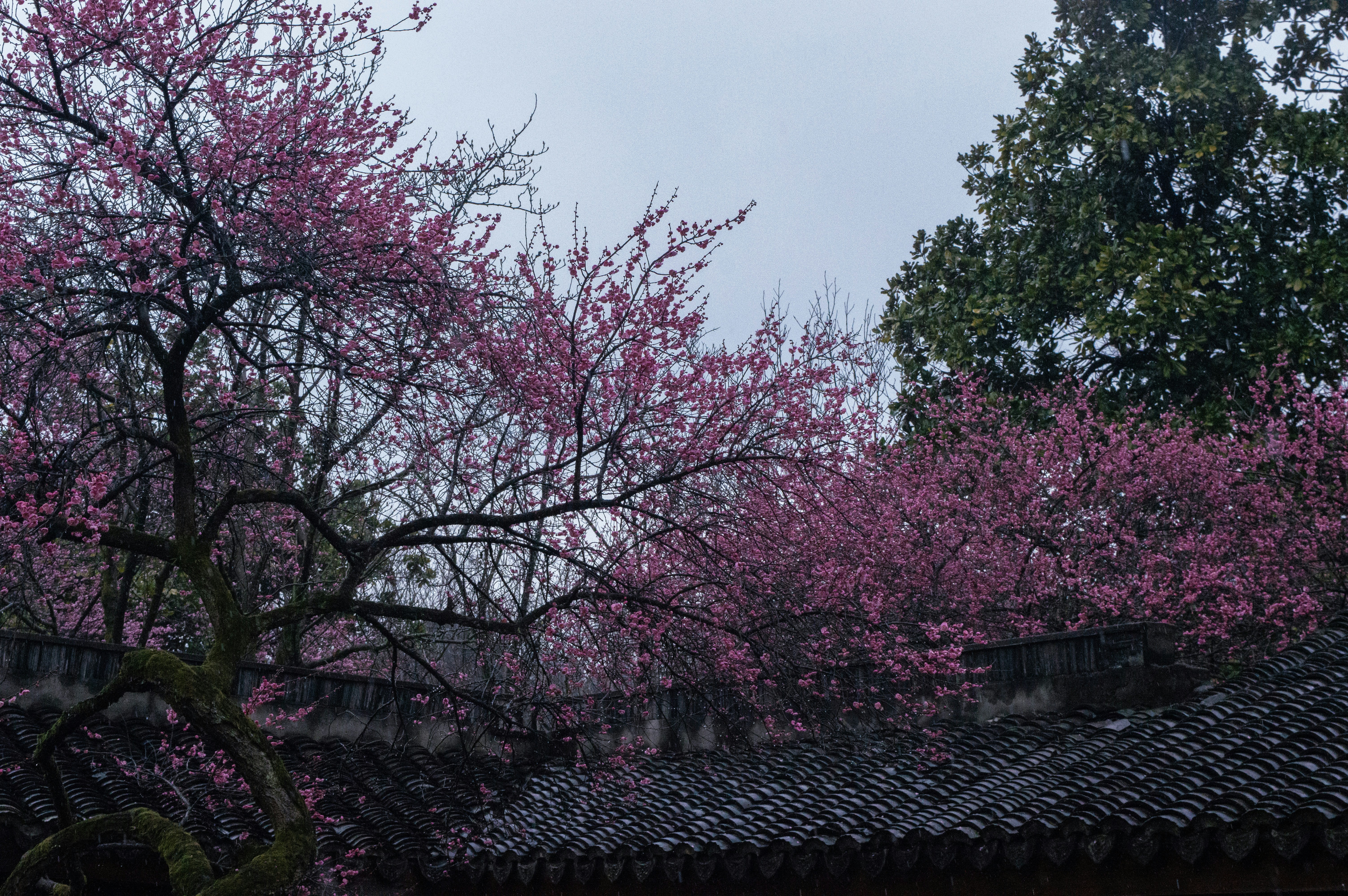 Photo by xiakuangkuang