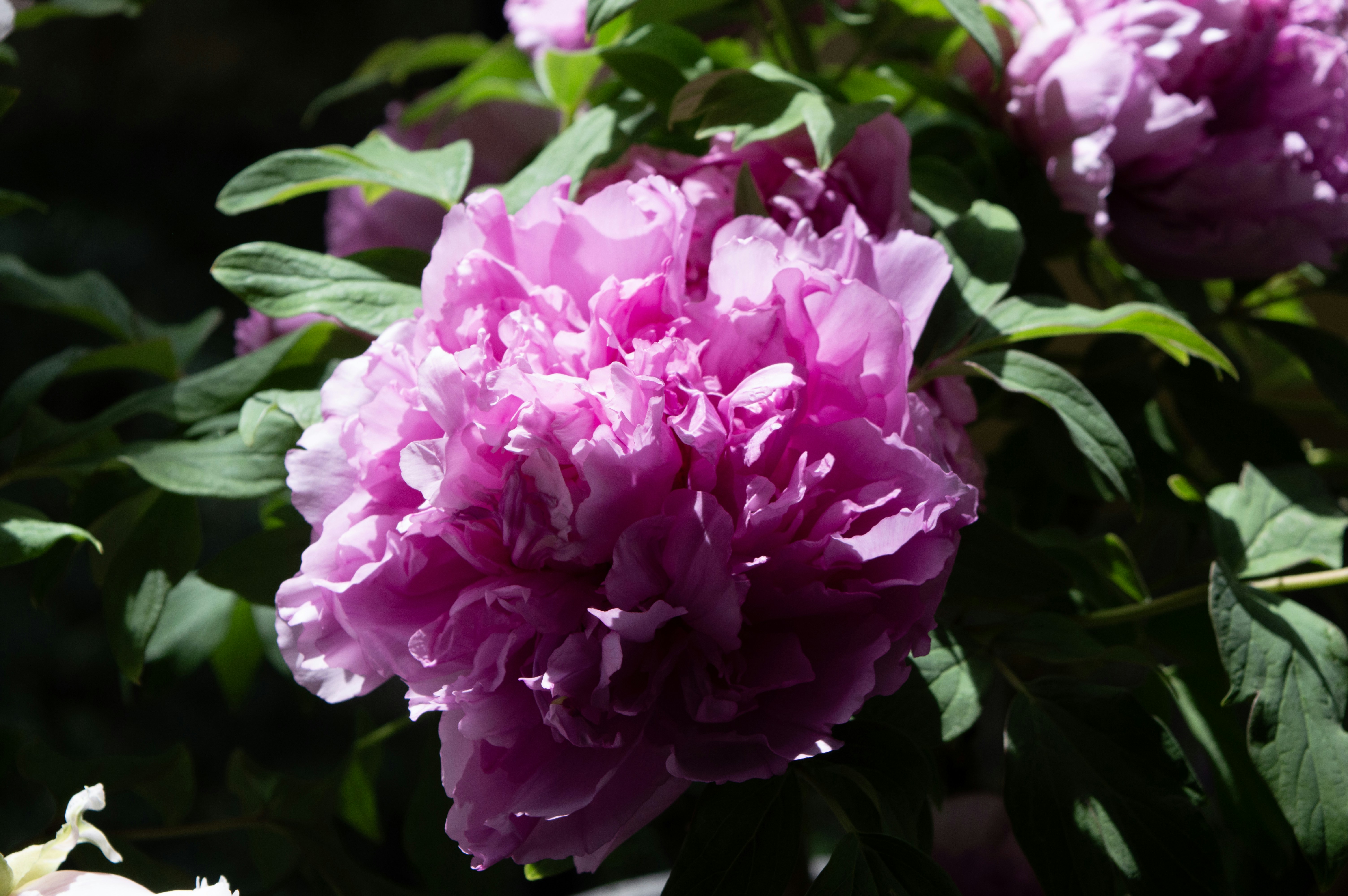 Photo by xiakuangkuang