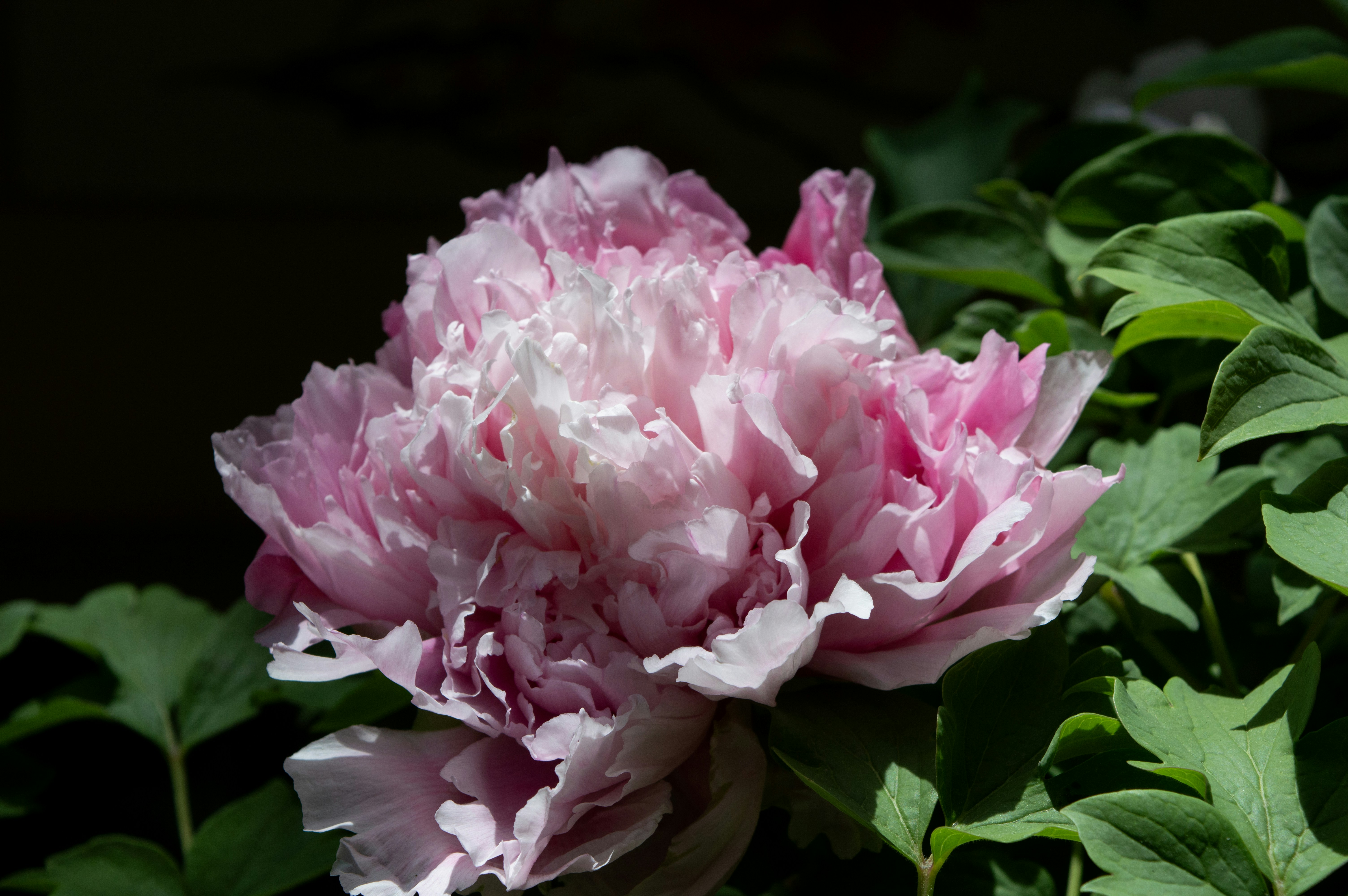 Photo by xiakuangkuang